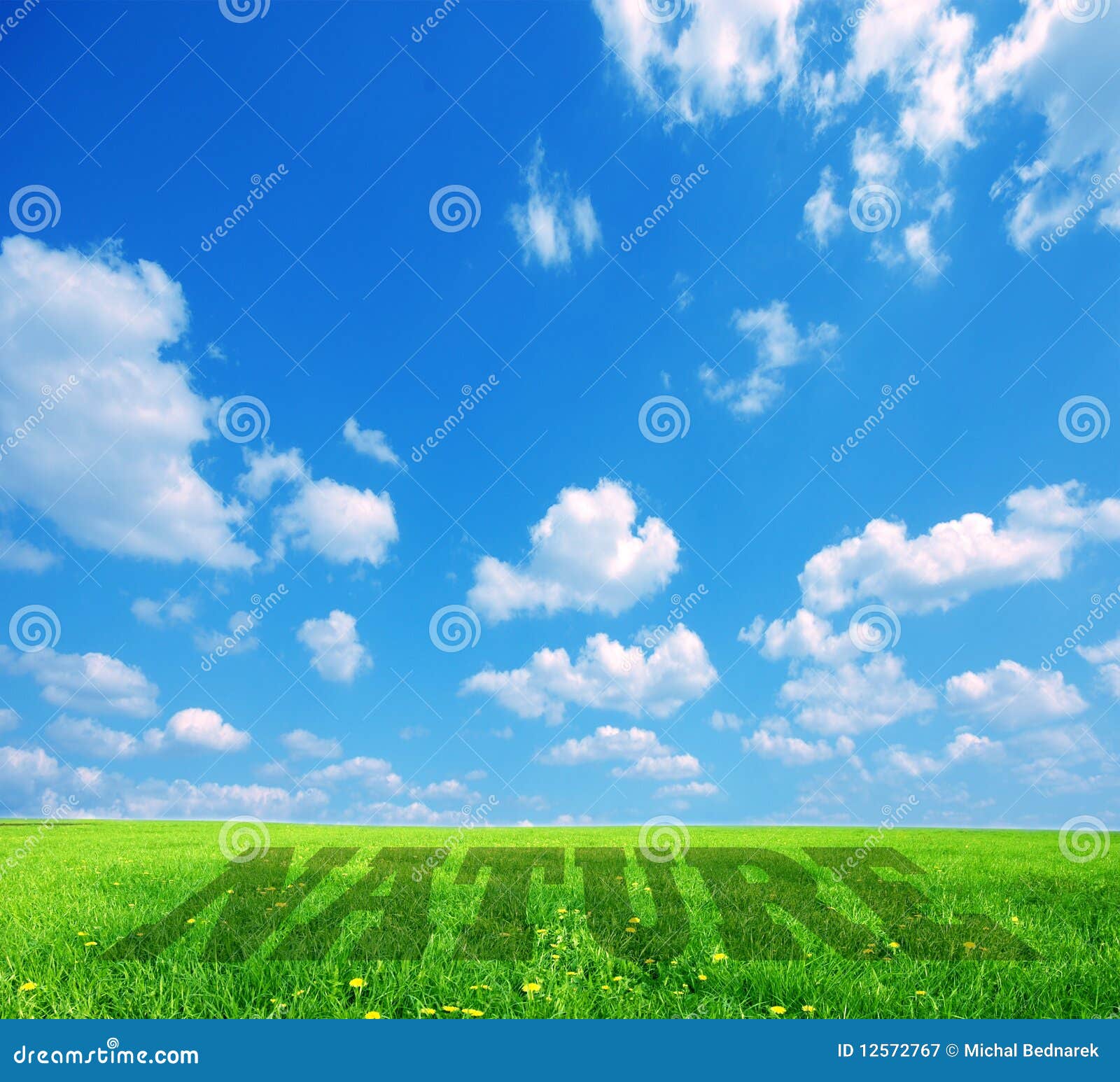 Nature Caption on Green Land Stock Image - Image of landscape ...