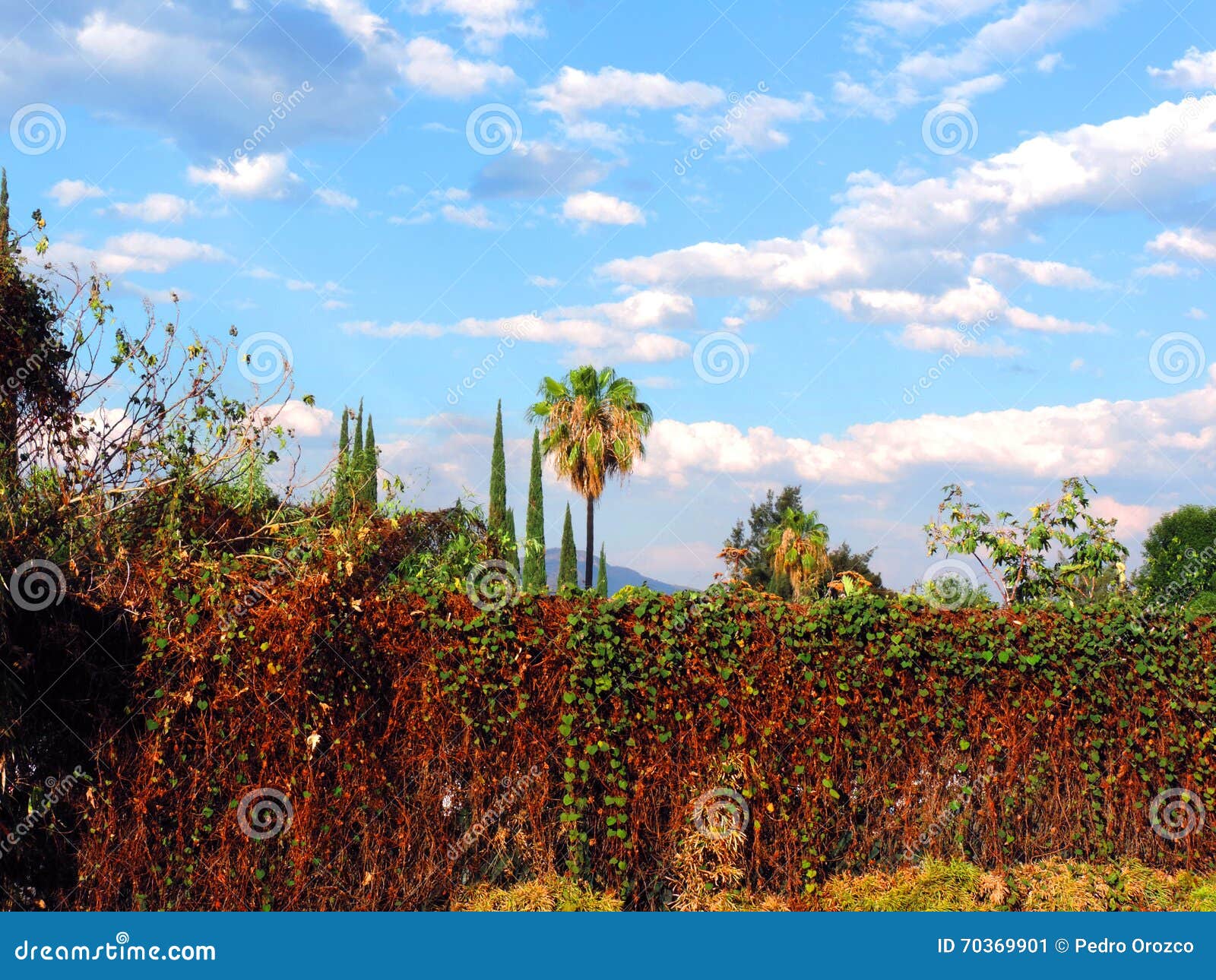 nature cielo sky enviorement blue green