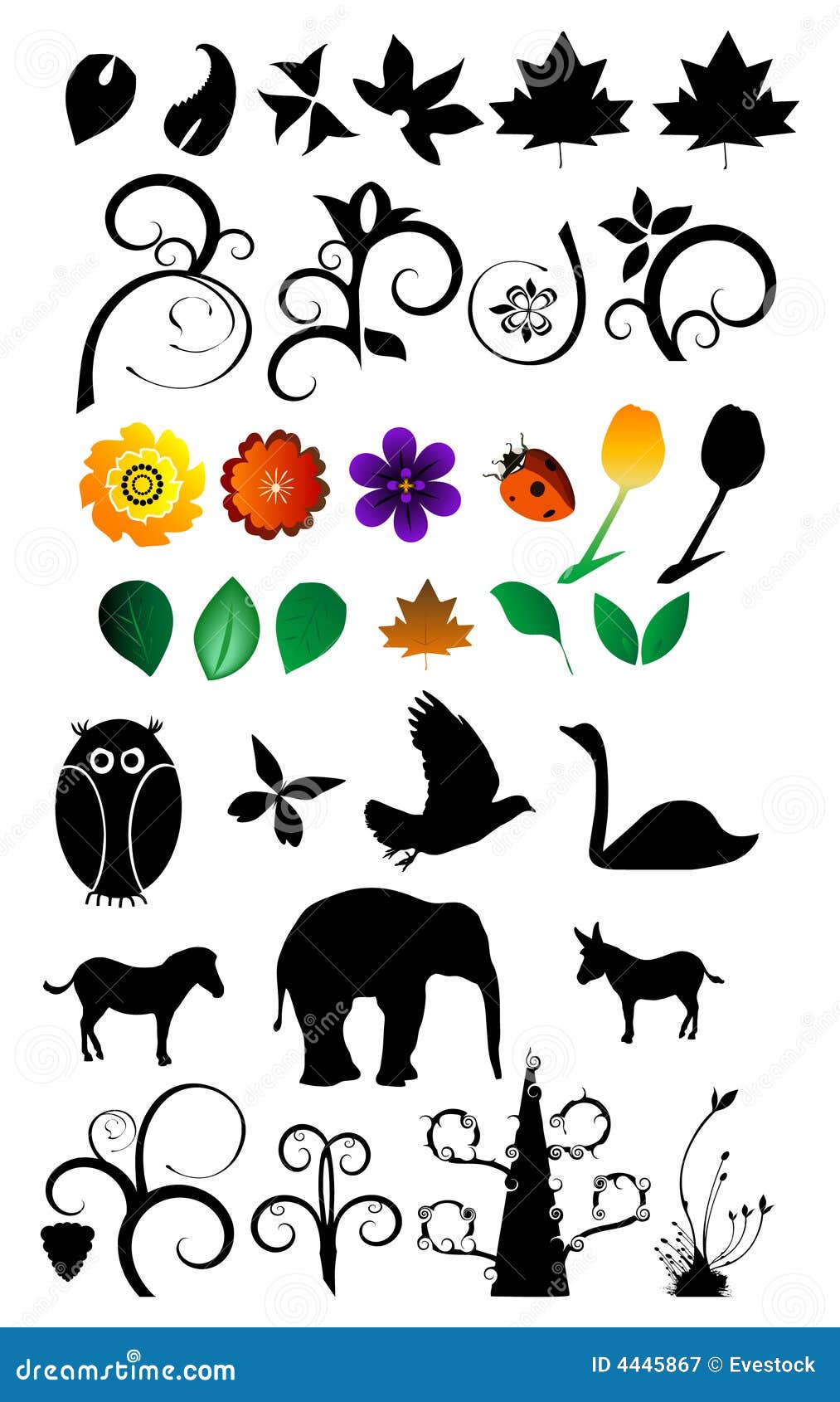 nature photography clipart - photo #36