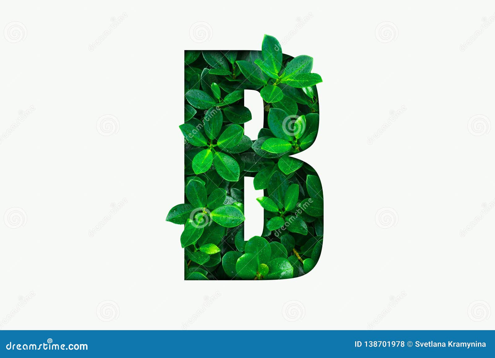 https://thumbs.dreamstime.com/z/nature-concept-alphabet-green-leaves-alphabet-letter-b-nature-concept-alphabet-green-leaves-alphabet-letter-b-138701978.jpg