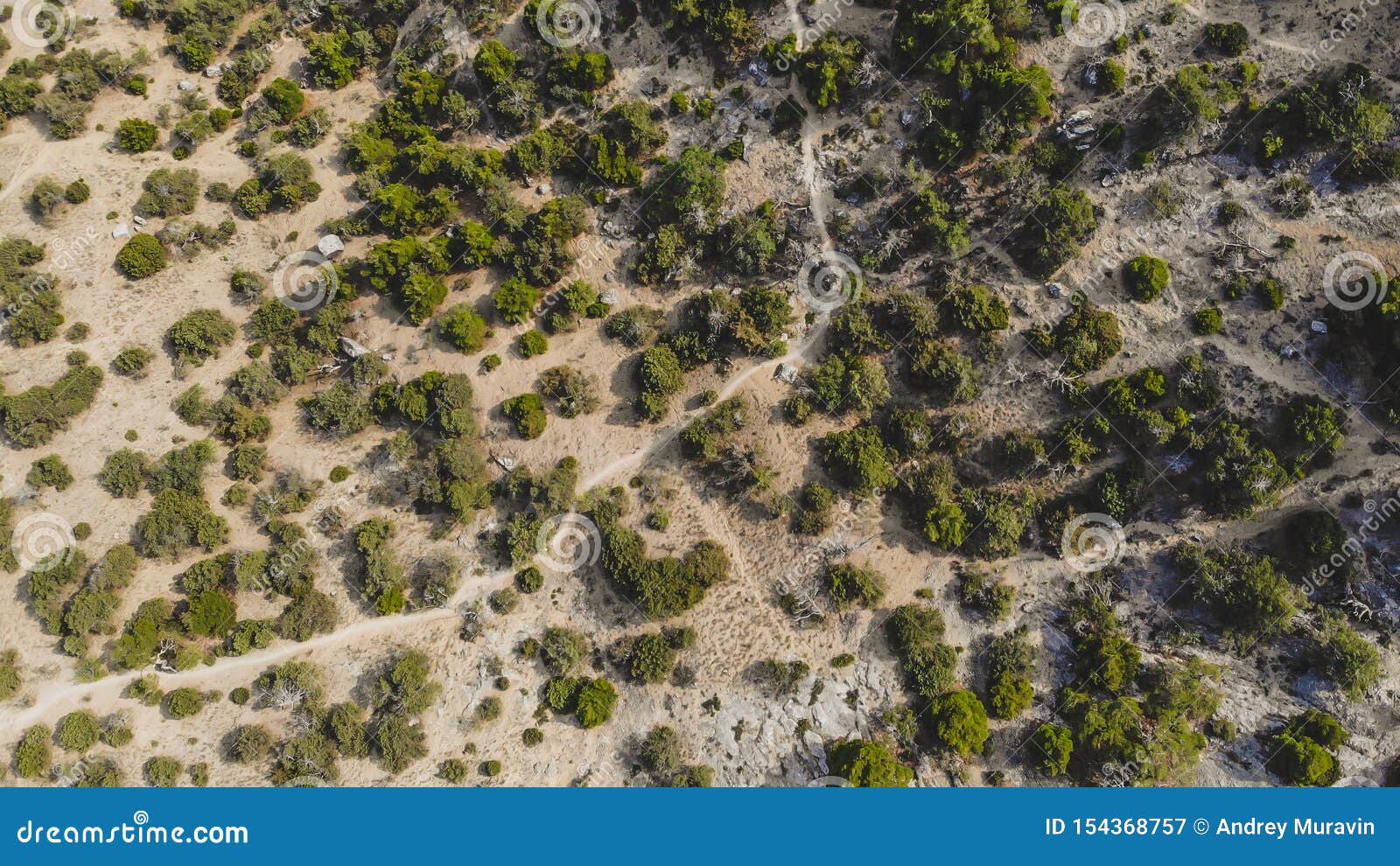 Nature D Une Grande Taille Image Stock Image Du Beau Nature D Une Grande Taille Image Stock Image Du Beau