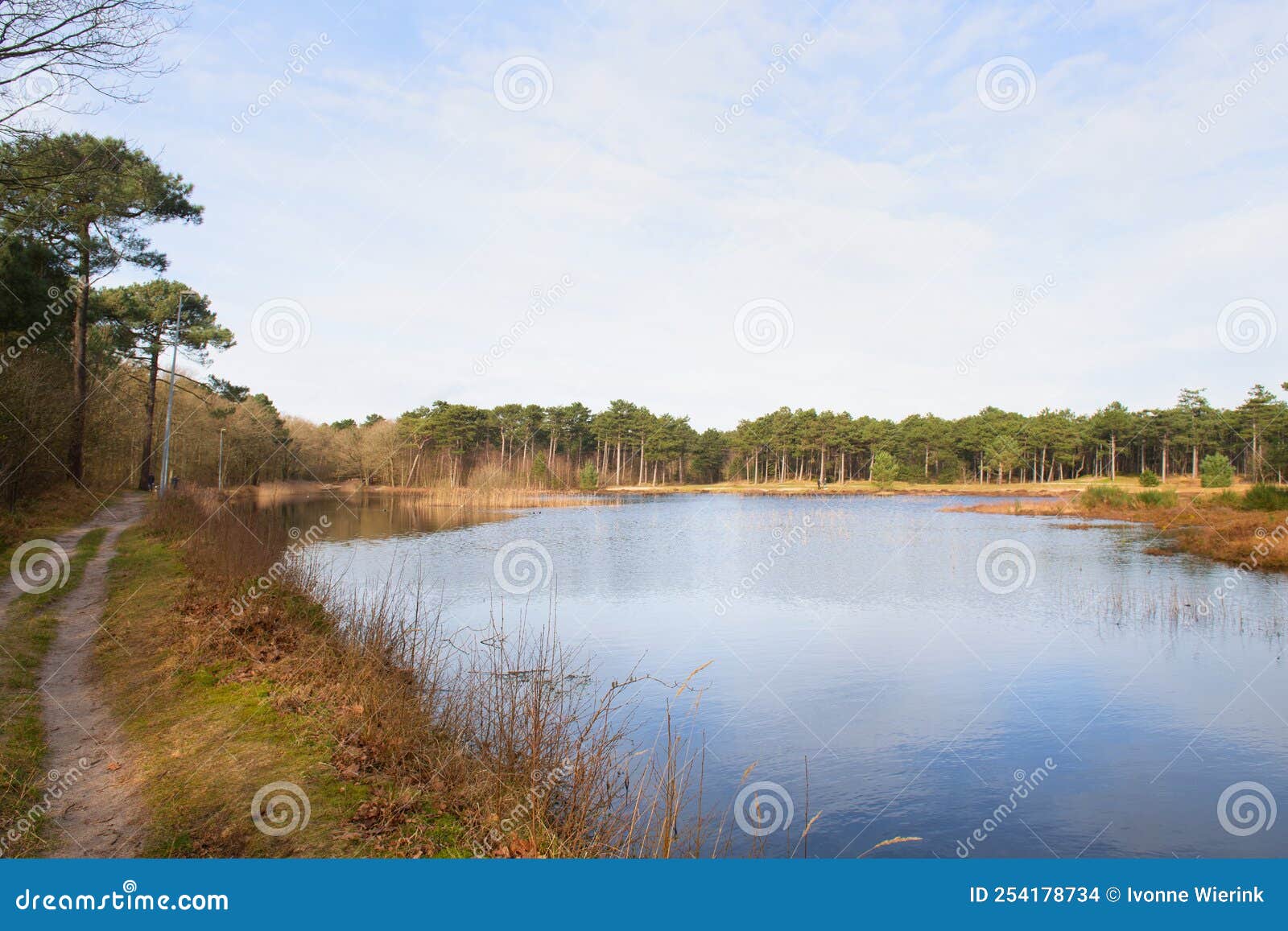 nature at dutch vlieland