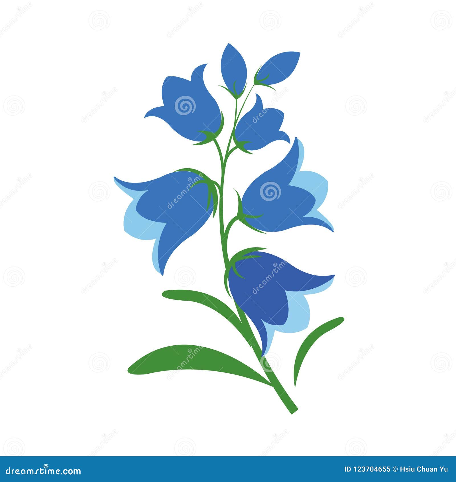 a nature flower bluebell flower