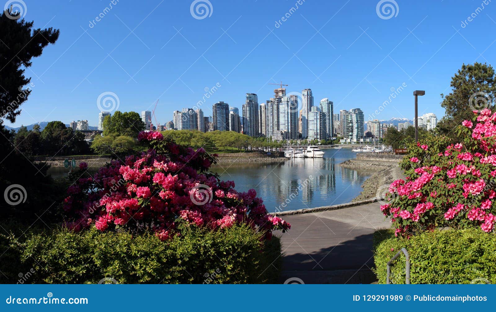 Nature, Flower, Plant, City Picture. Image 129291989