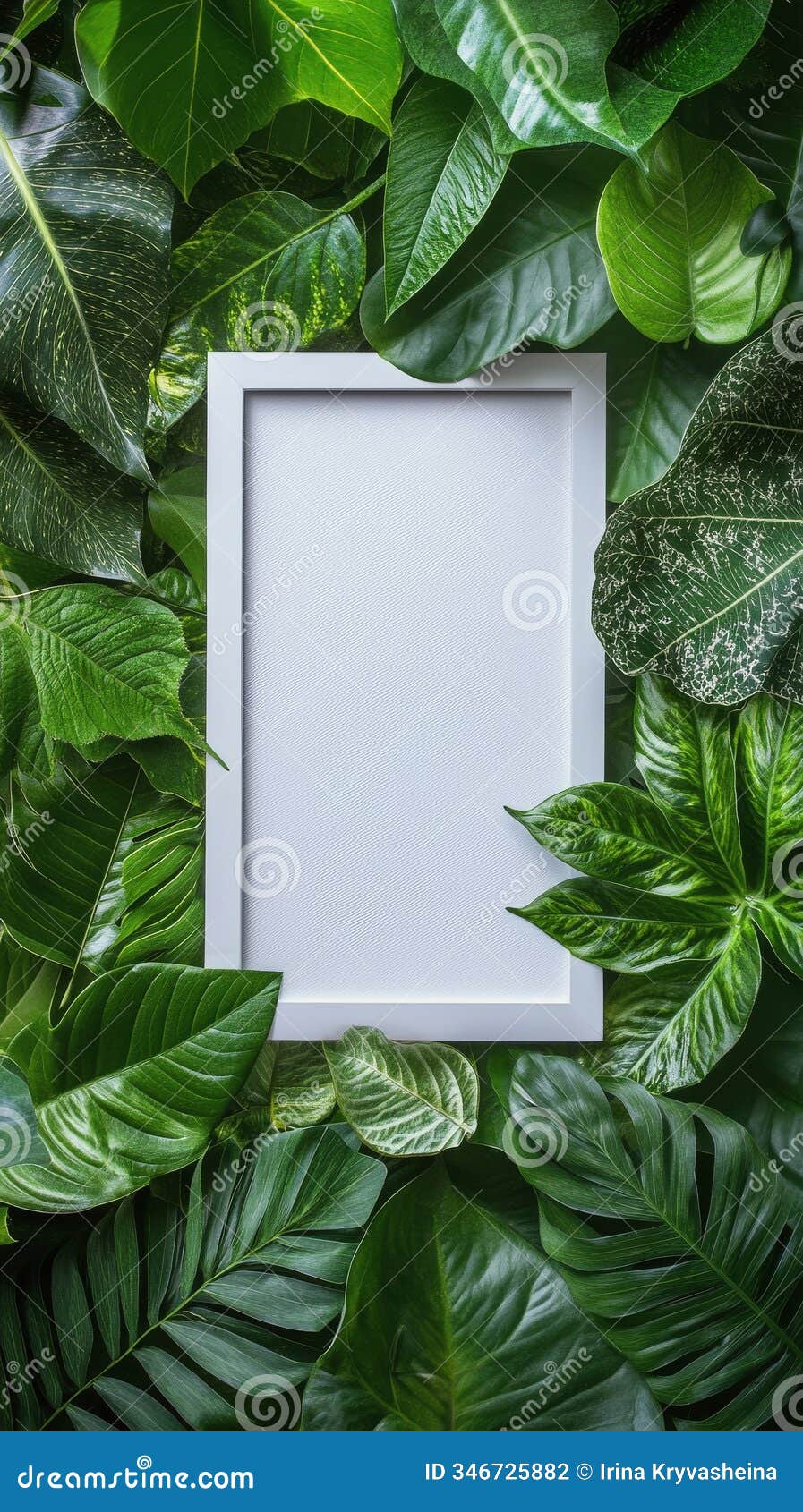 nature framed with vibrant green leaves surrounding a white rectangular border