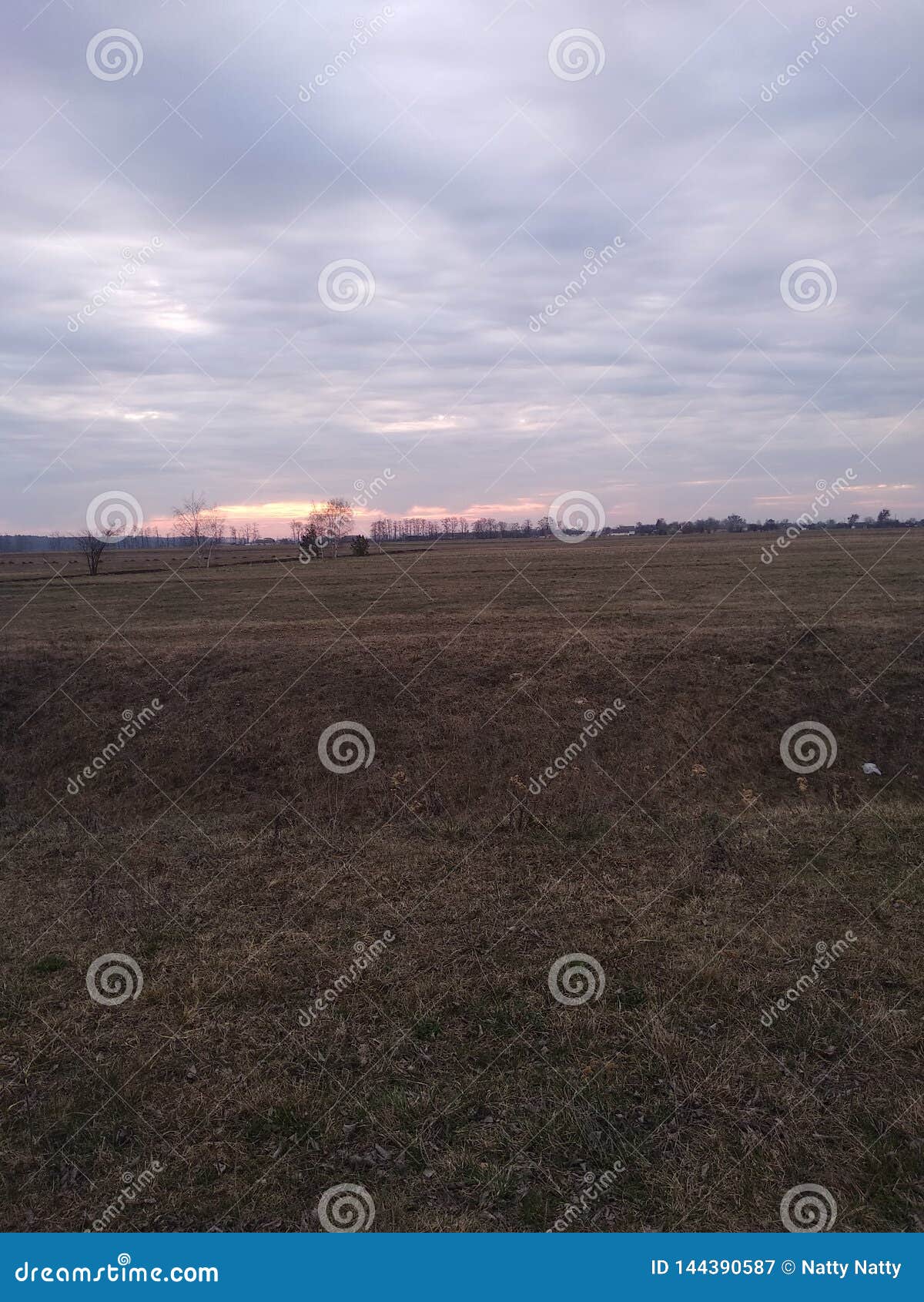 Nature stock image. Image of nature, dream, green, grass 144390587