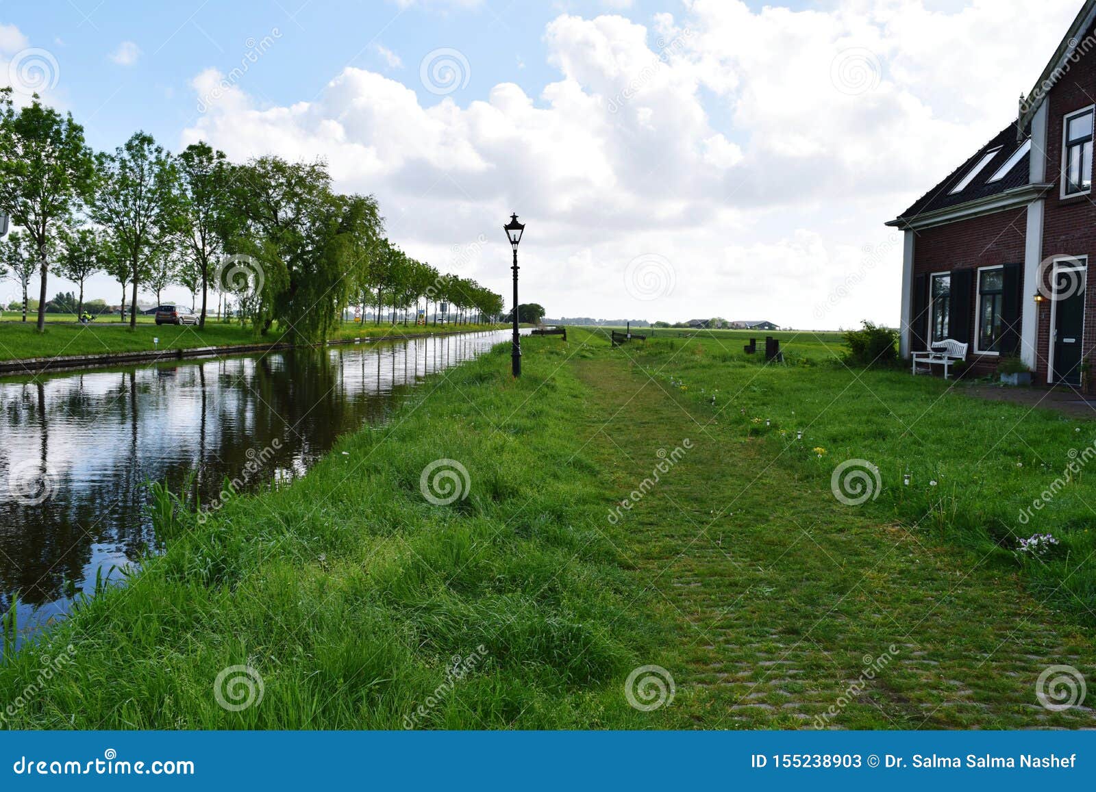 Kredsløb hjemme Sociale Studier Nature, Holland stock image. Image of water, trees, green - 155238903