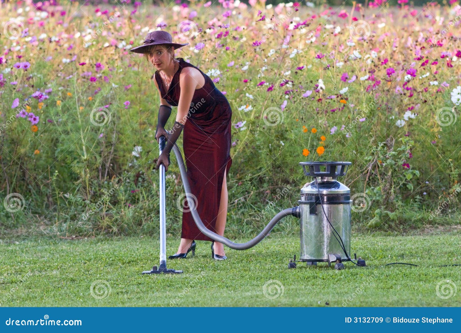 Nature housekeeper stock image. Image of fashion, female 3132709
