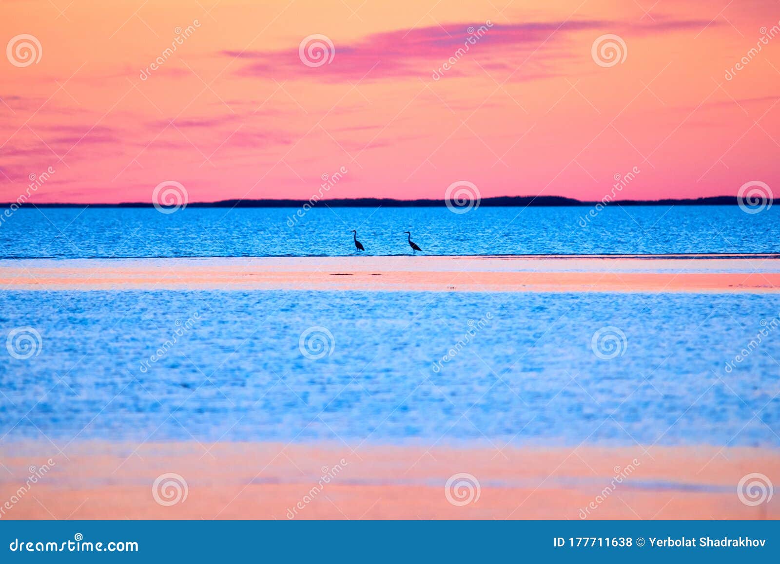 View of Caspian Sea in Nature Reserve. Atyrau Region. - of blue, region: 177711638