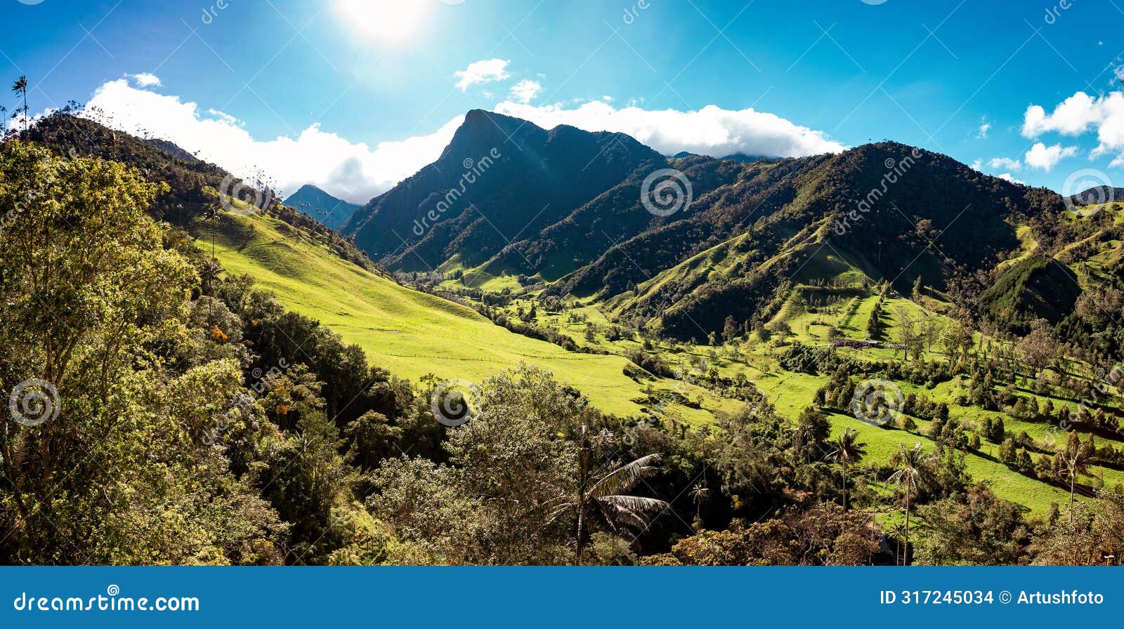 nature landscape of tall wax palm trees in valle del cocora valley. salento, quindio department. colombia mountains landscape.