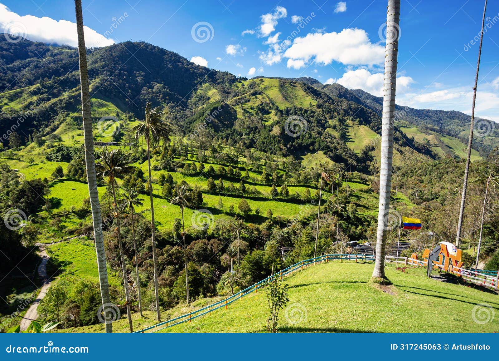 nature landscape of tall wax palm trees in valle del cocora valley. salento, quindio department. colombia mountains landscape.