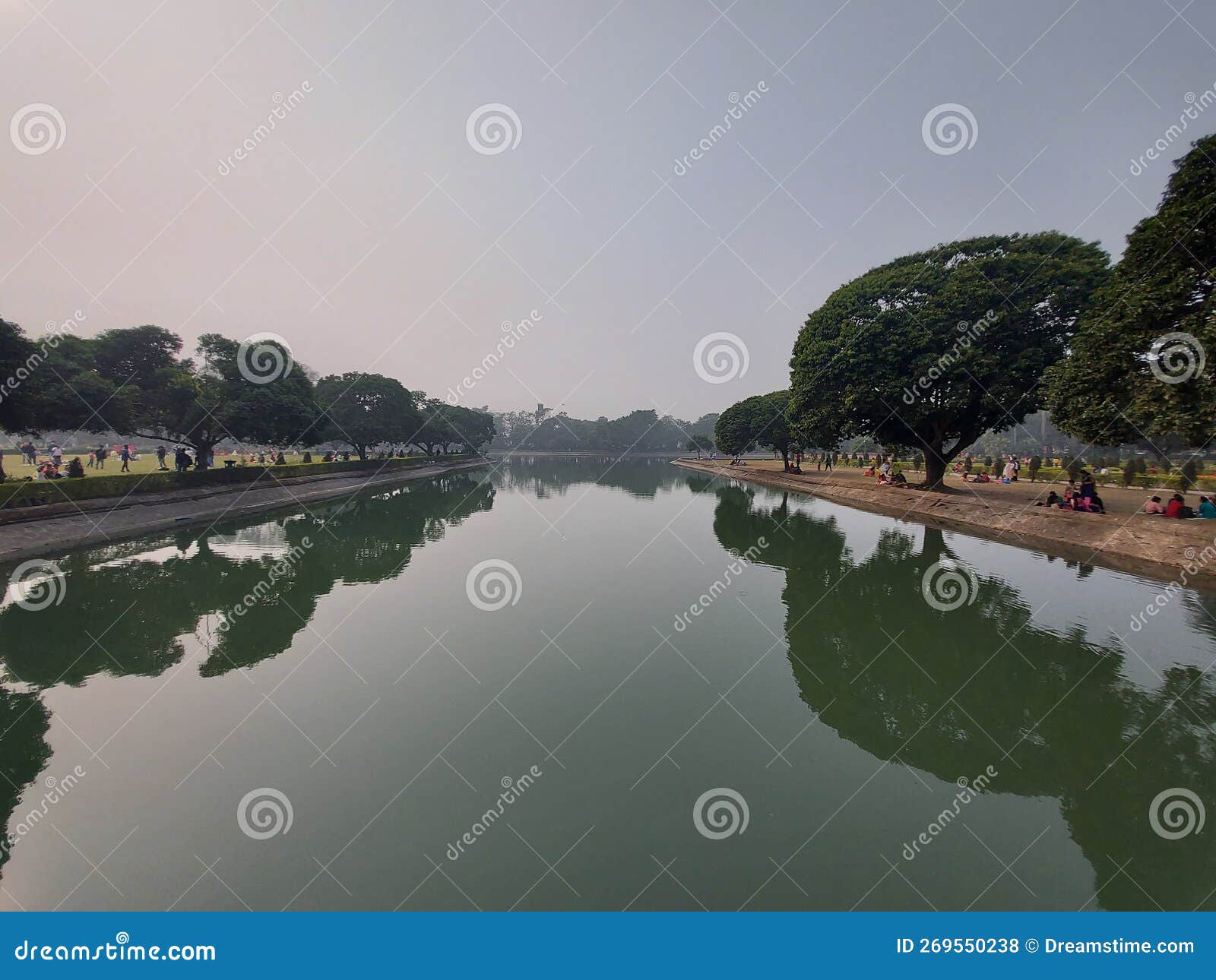 Nature lover stock photo. Image of lake, tree, pond 269550238