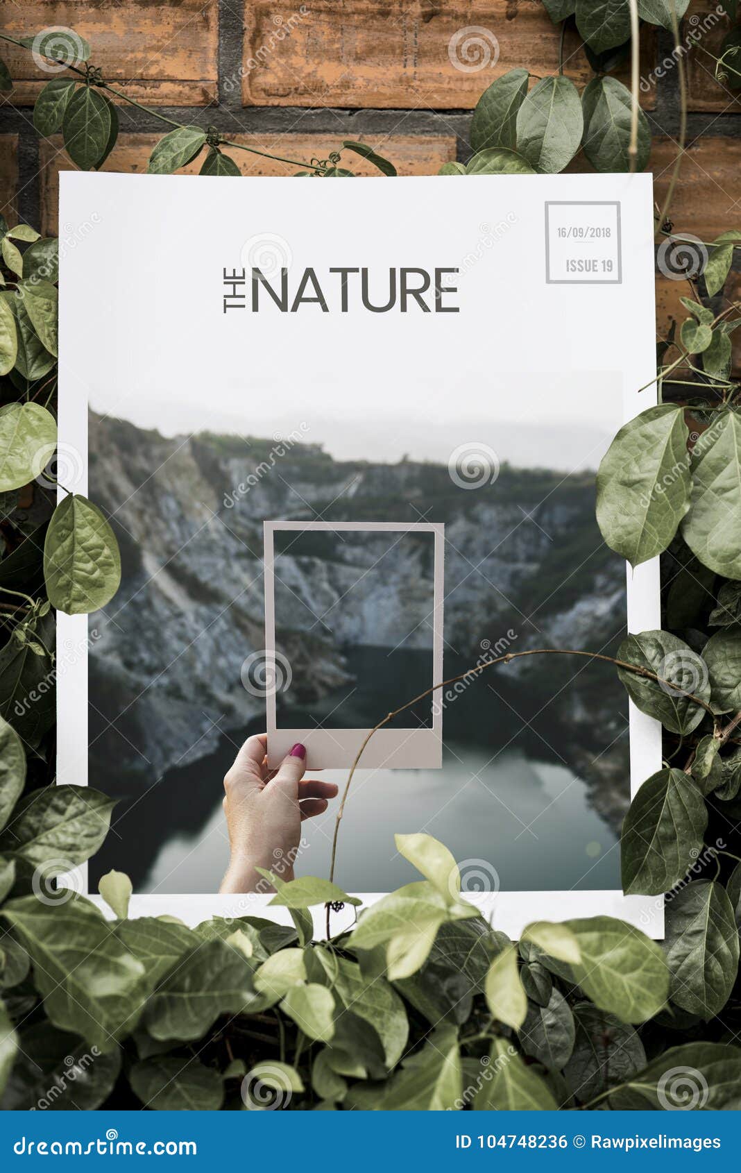 fænomen arve udredning Nature Magazine Mockup Vintage Style Stock Photo - Image of plant, design:  104748236