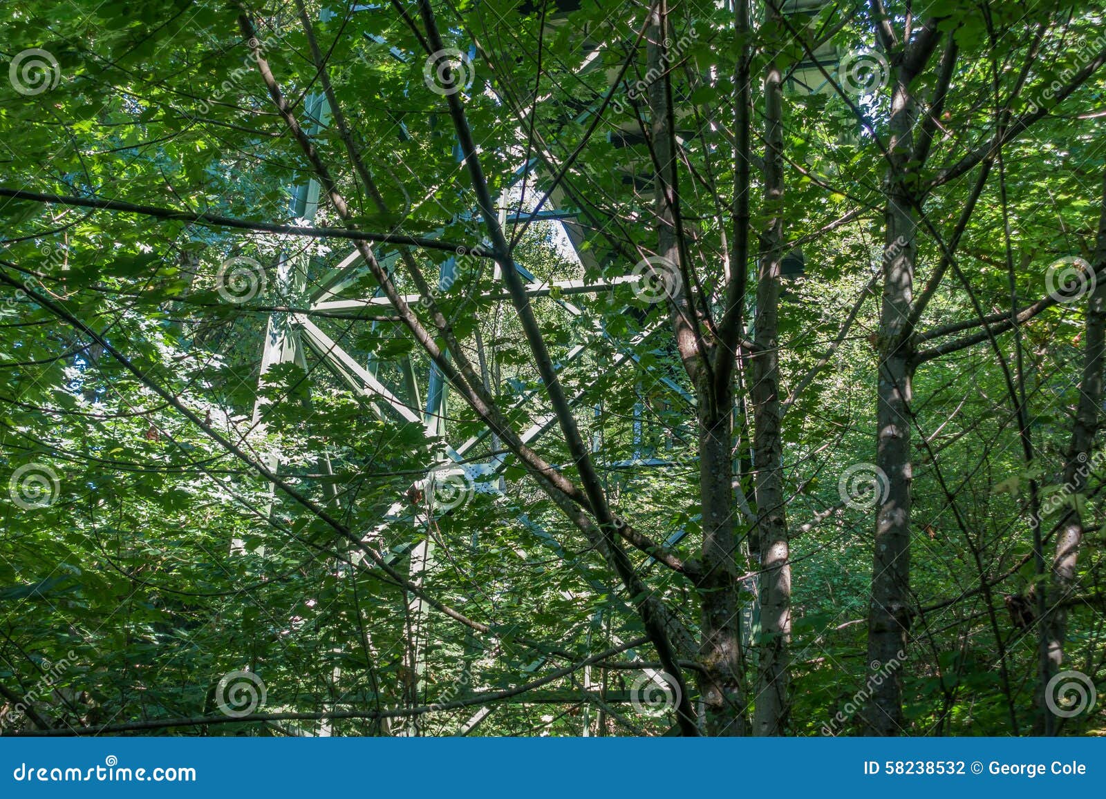 Nature and Manmade stock photo. Image of scenic, trees 58238532