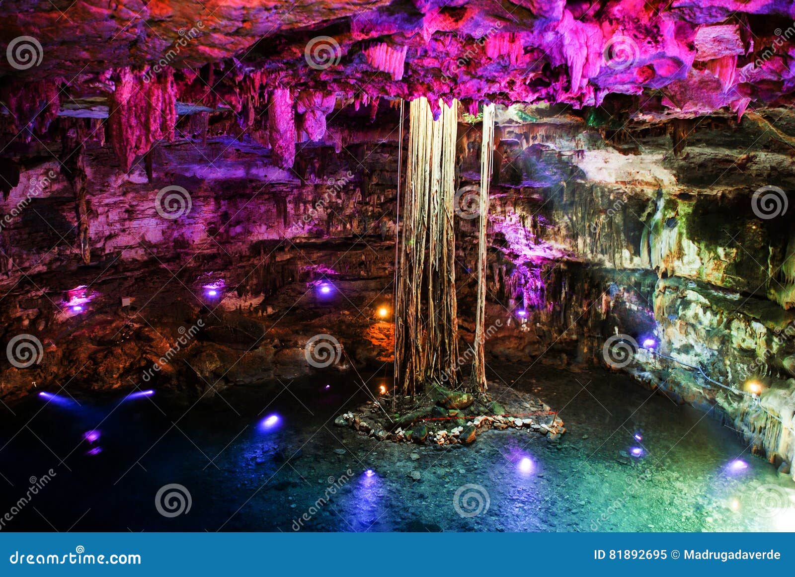 Nature In Mexico Inside A Sinkhole Cenote Stock Image