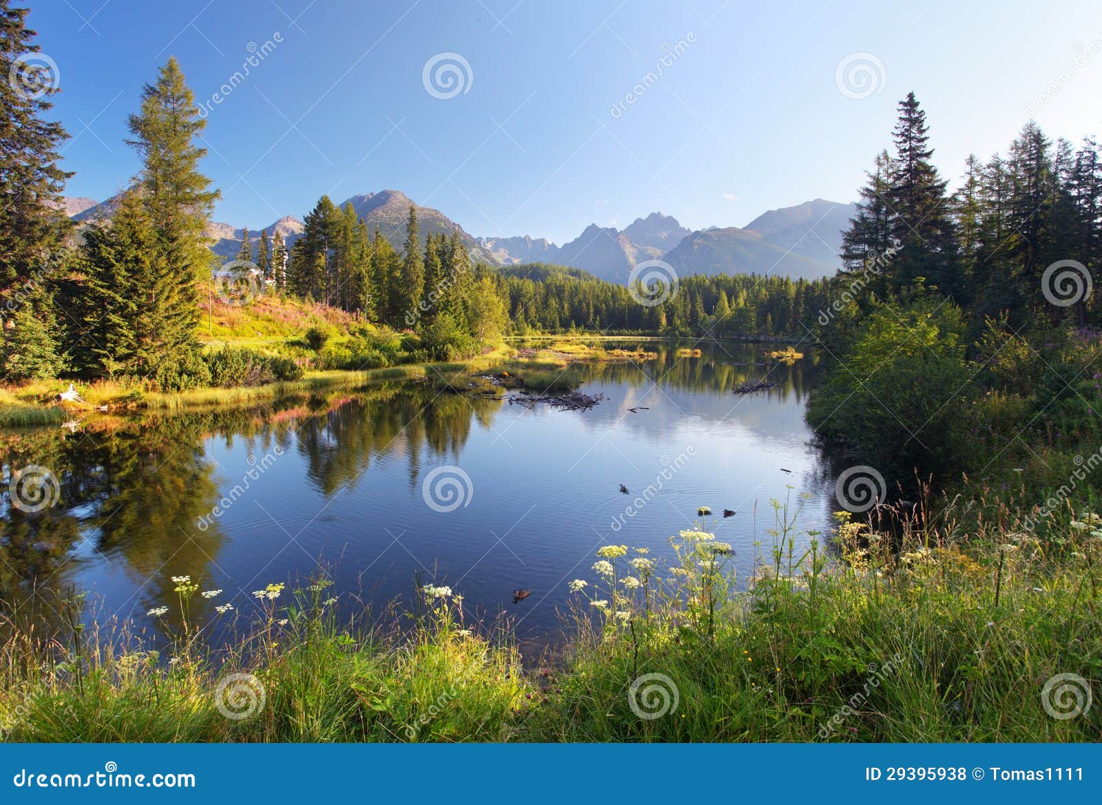 nature mountain scene with beautiful lake in slovakia tatra