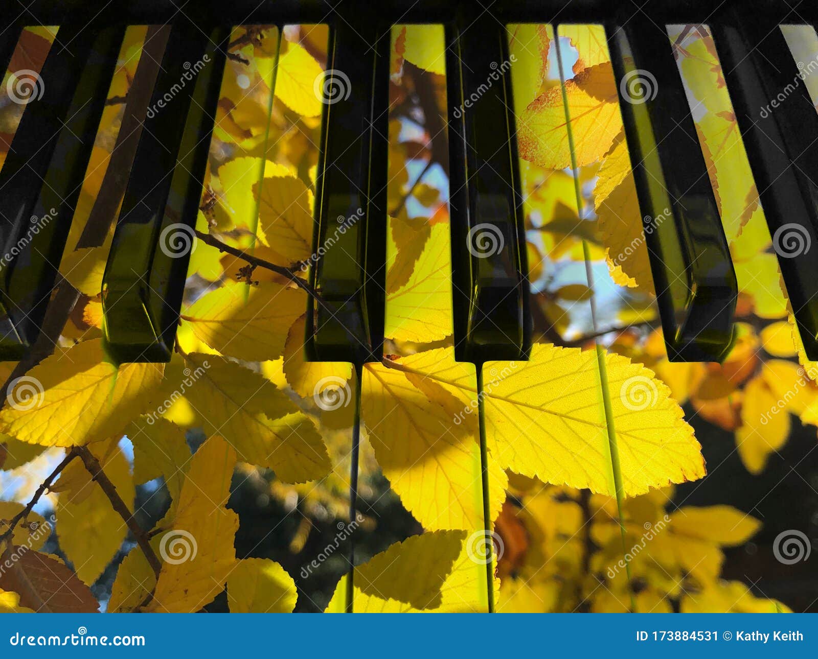 double exposure effect with keyoard keys closeup and yellow leaves backlit by the sun