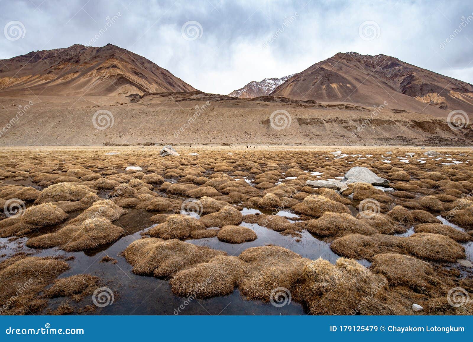 Nature of Nubra Valley, Leh Ladakh, Stock Image - Image of desert, indian:  179125479