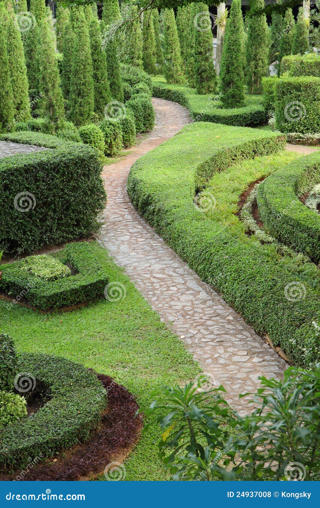Nature Path through in the Garden Stock Photo - Image of curve ...