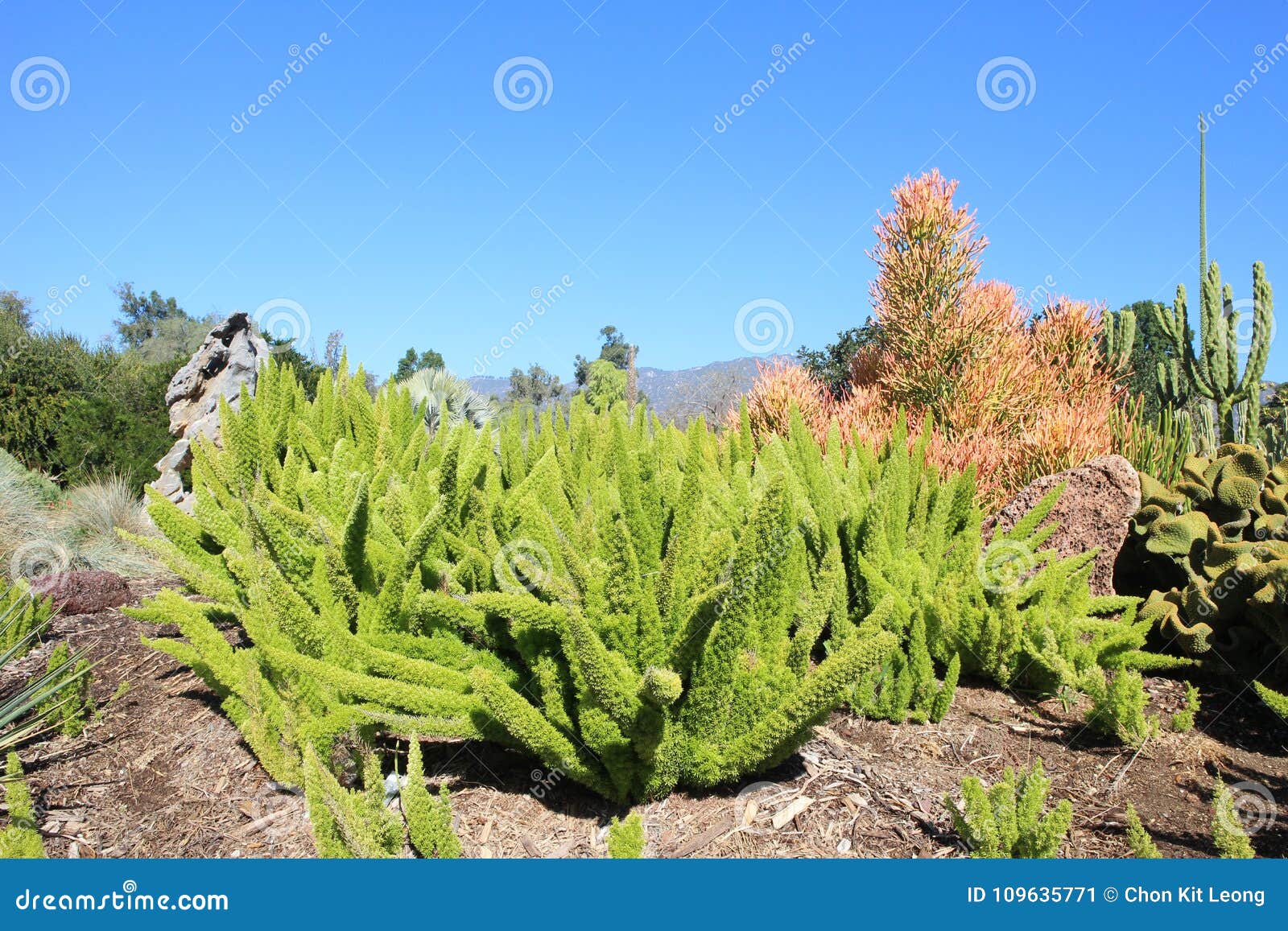 Nature Pathway On A Sunny Day Stock Image Image Of Arcadia