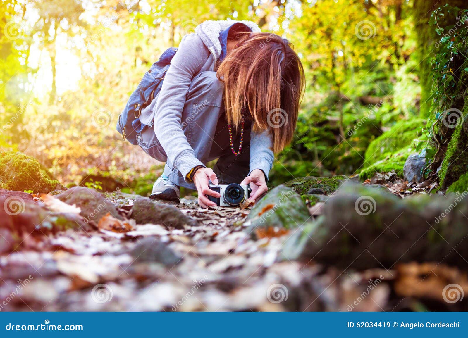 nature photography. photographer woman in the forest woods.