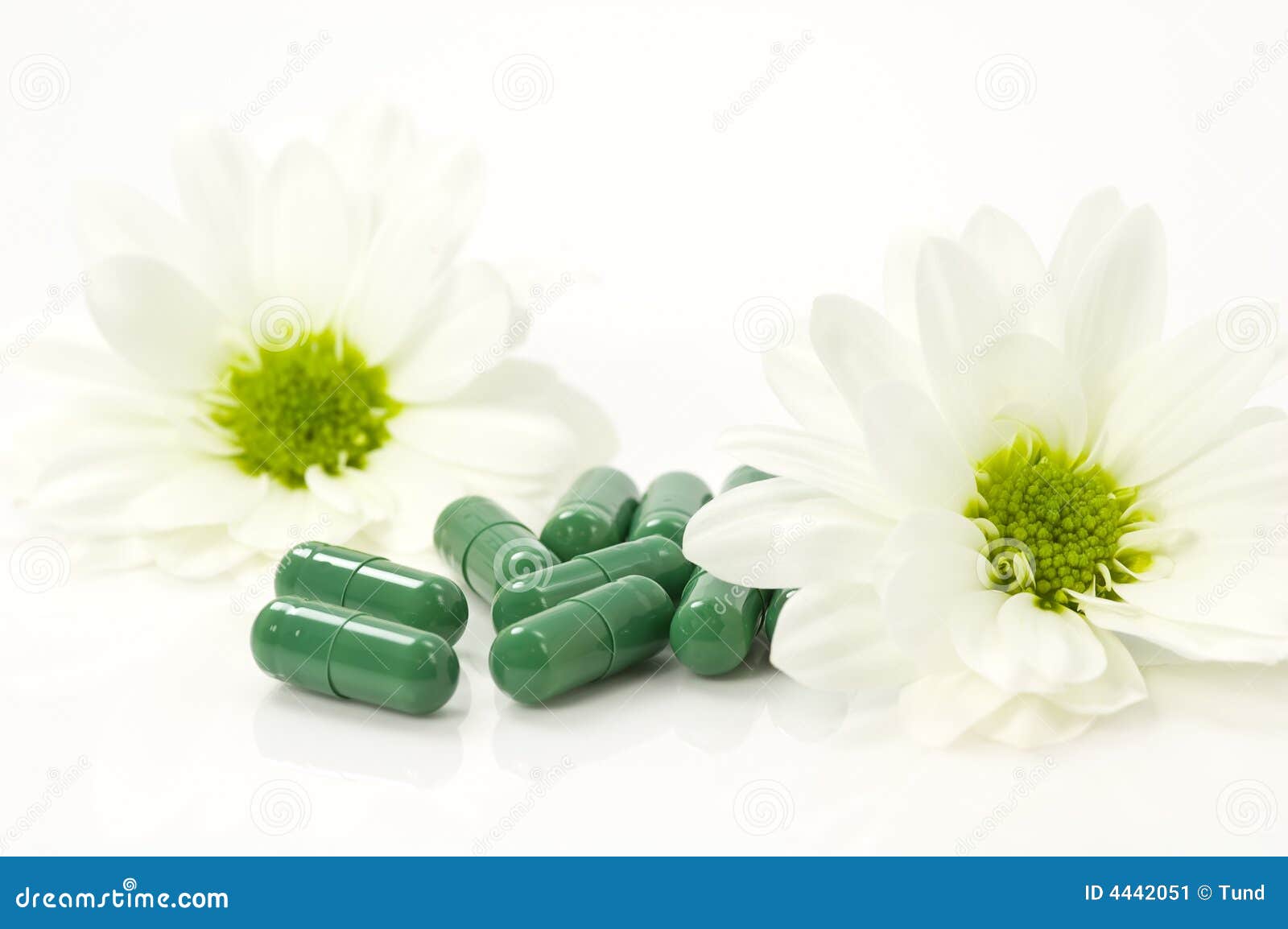 Nature pills stock image. Image of flowers, petals, tender 4442051