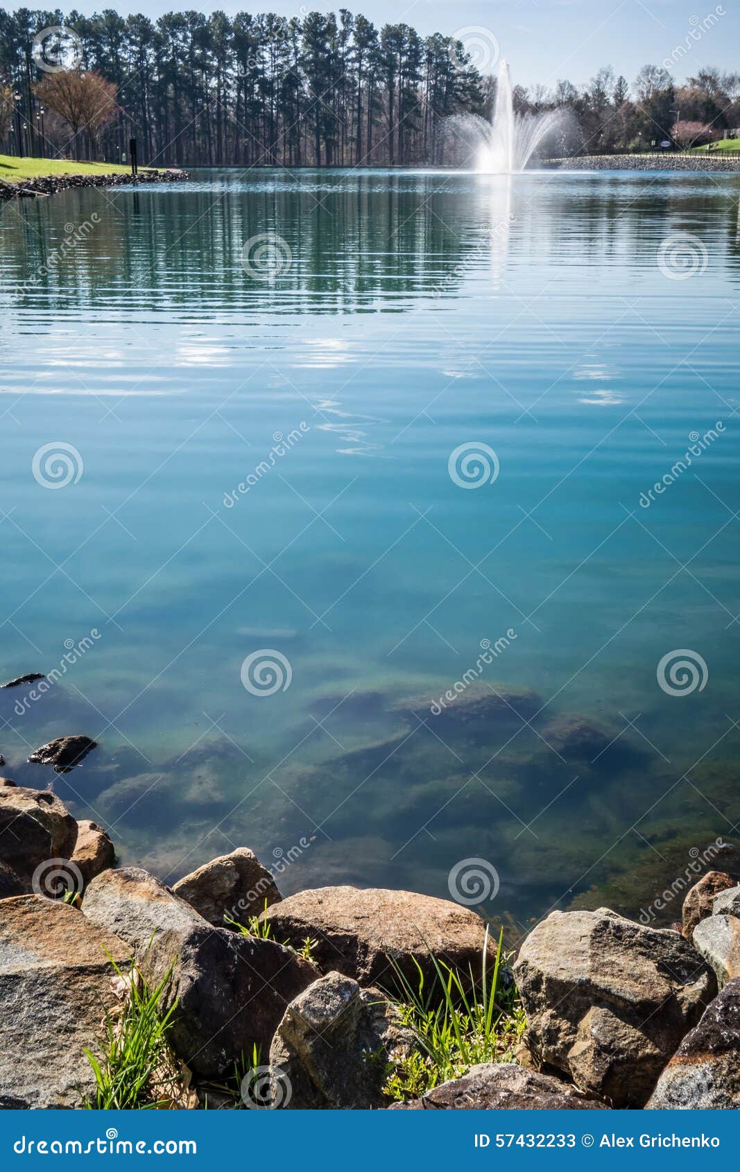 nature reflections in town lake