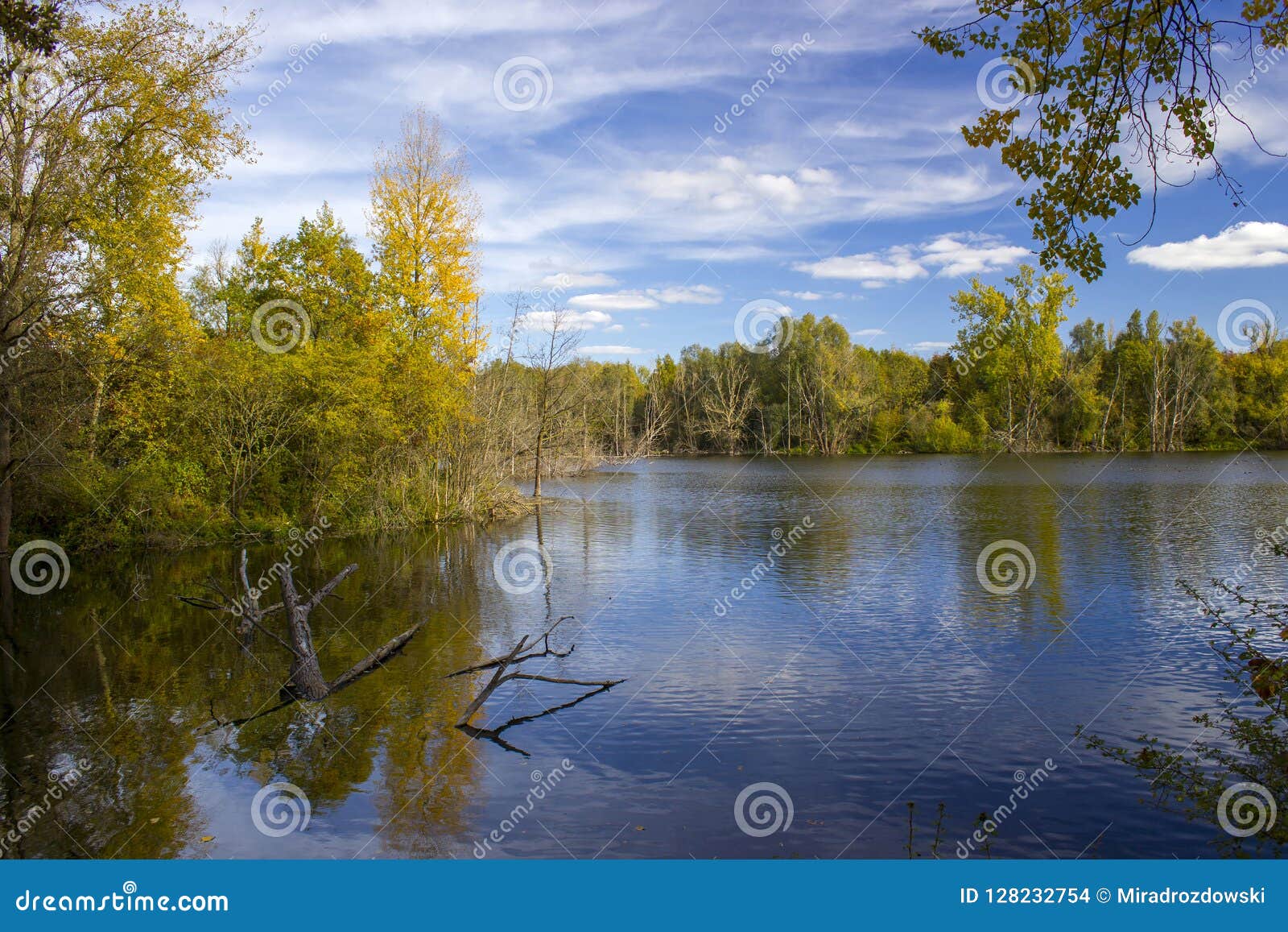 nature reserve bislicher insel, lower rhine region, germany