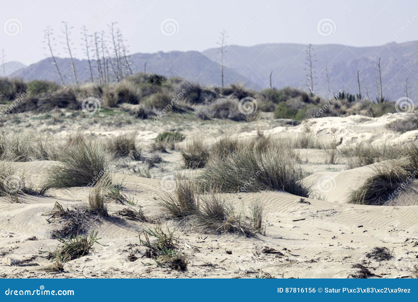 nature reserve of gata-nijar`s end, almeria. andalusia, spain.