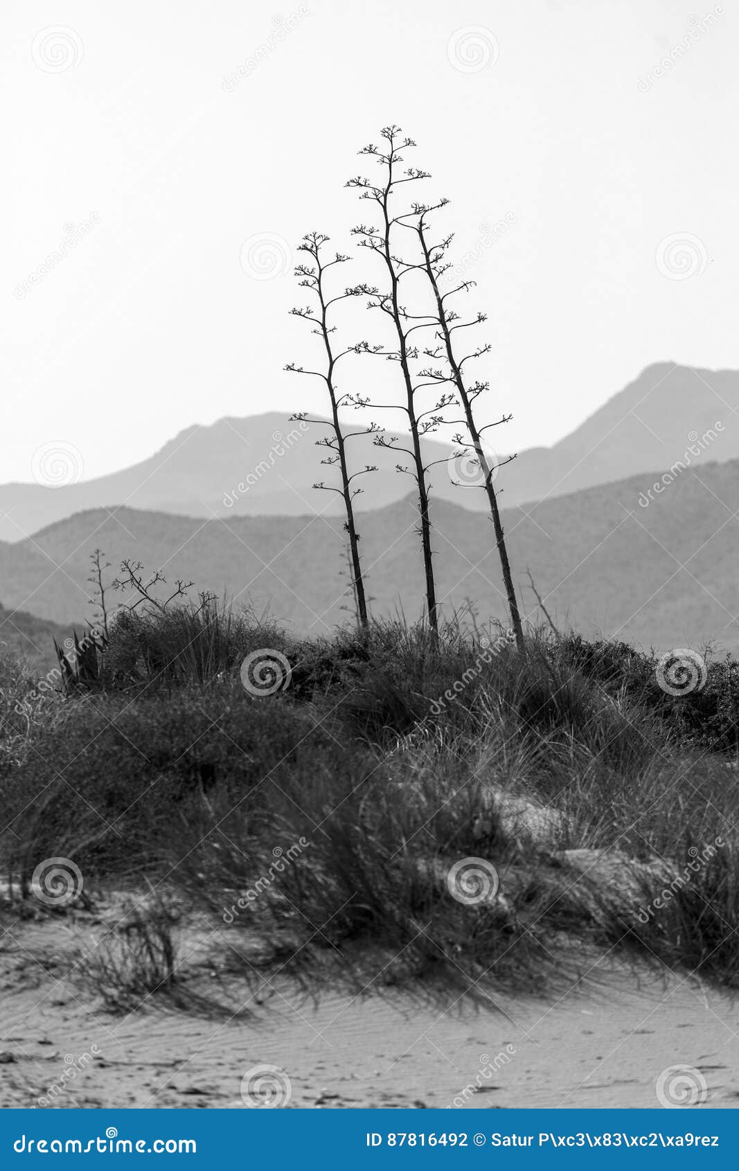 nature reserve of gata-nijar`s end, almeria. andalusia, spain.