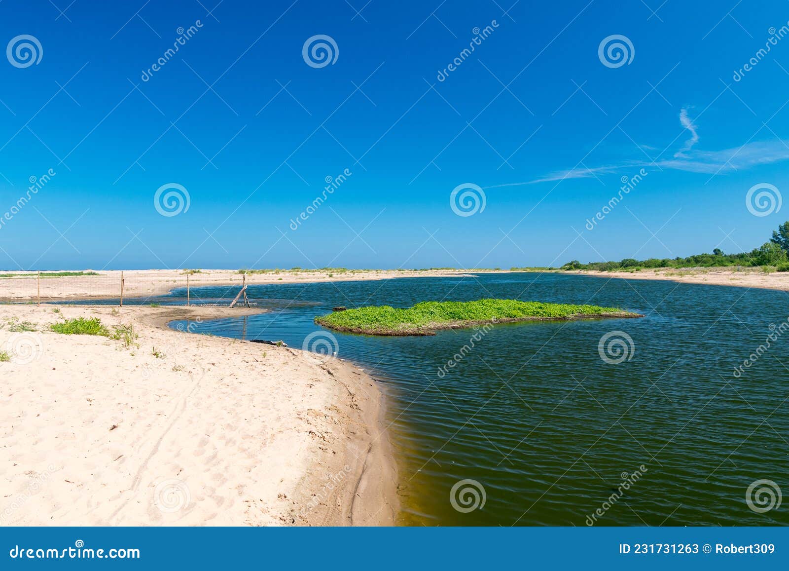 nature reserve mewia lacha with bird nests on sobieszewo island