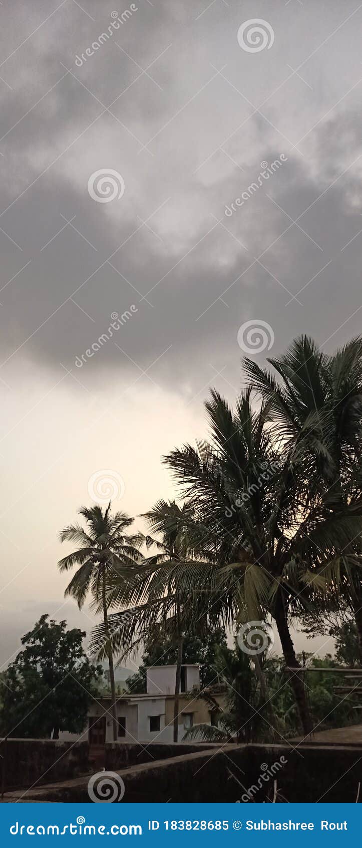 nature's click on cloudy evening