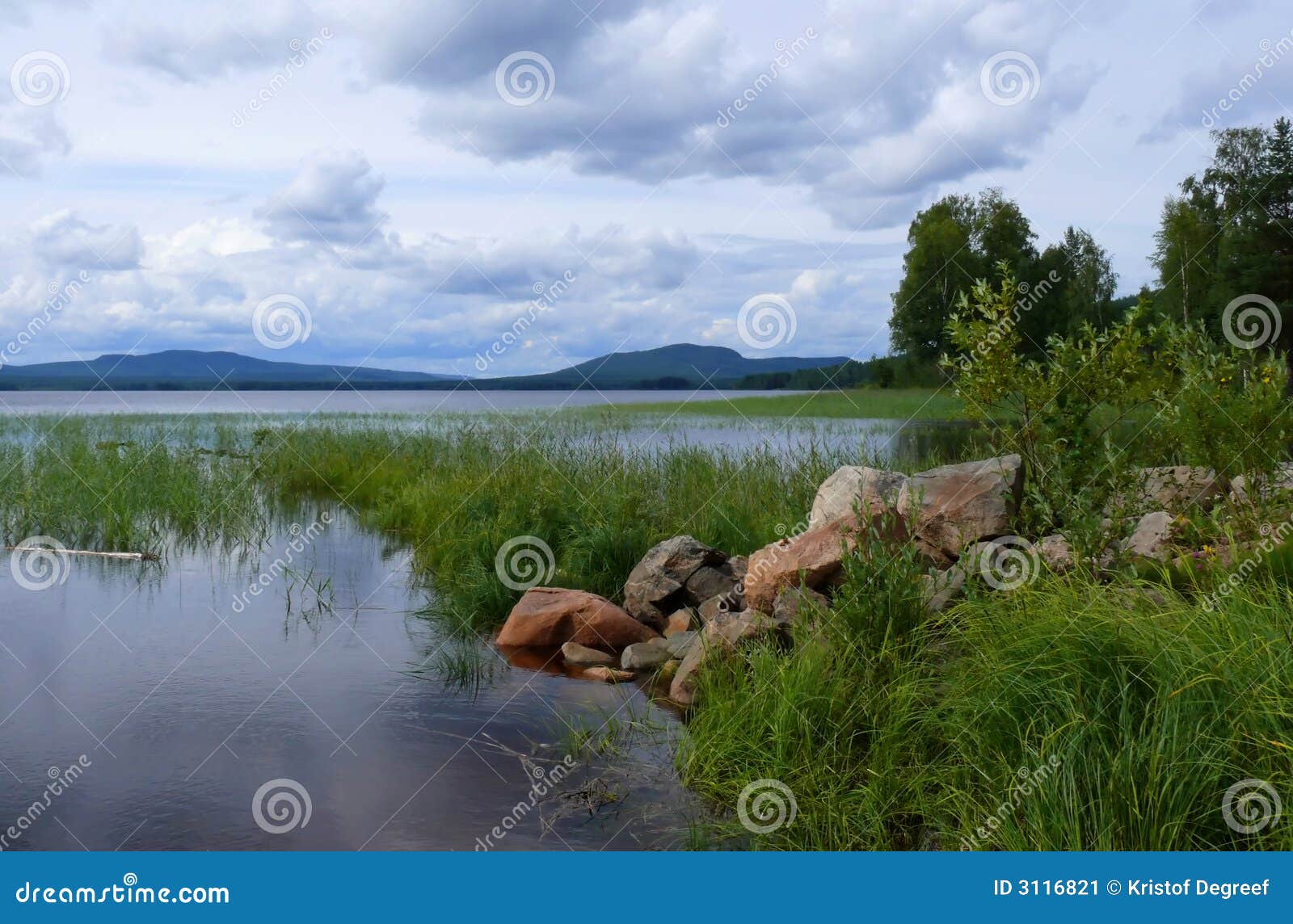 Nature scene stock image. Image of rural, horizontal, environment 3116821