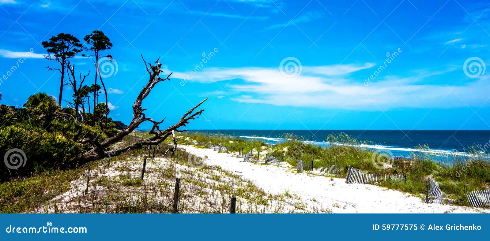 nature scenes around hunting island south carolina