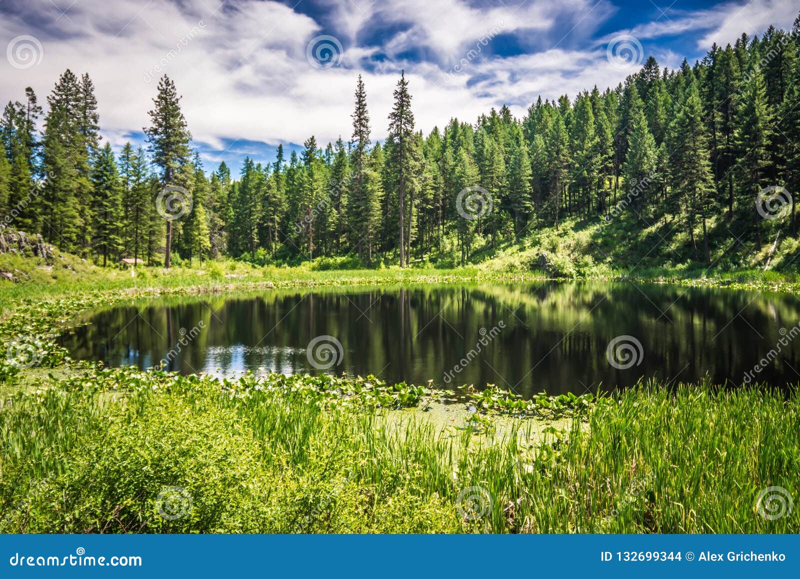 nature scenics around spokane river washington