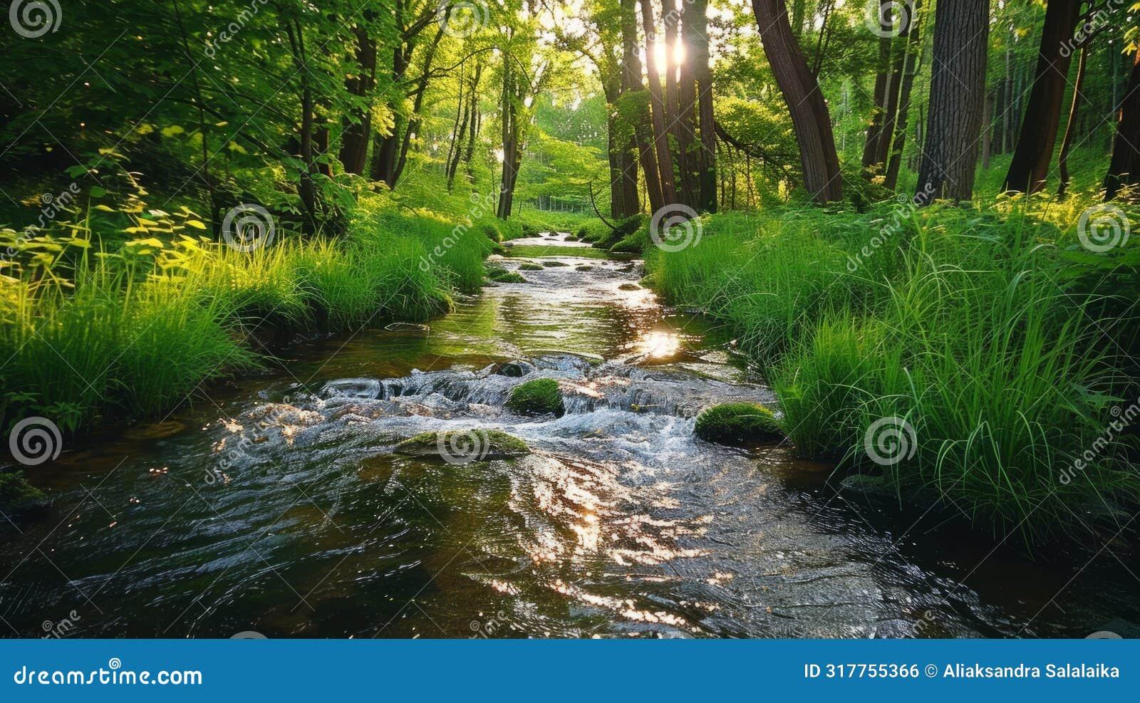 nature sounds, the serene trickle of a stream flowing through a vibrant forest creates a calming backdrop for relaxation