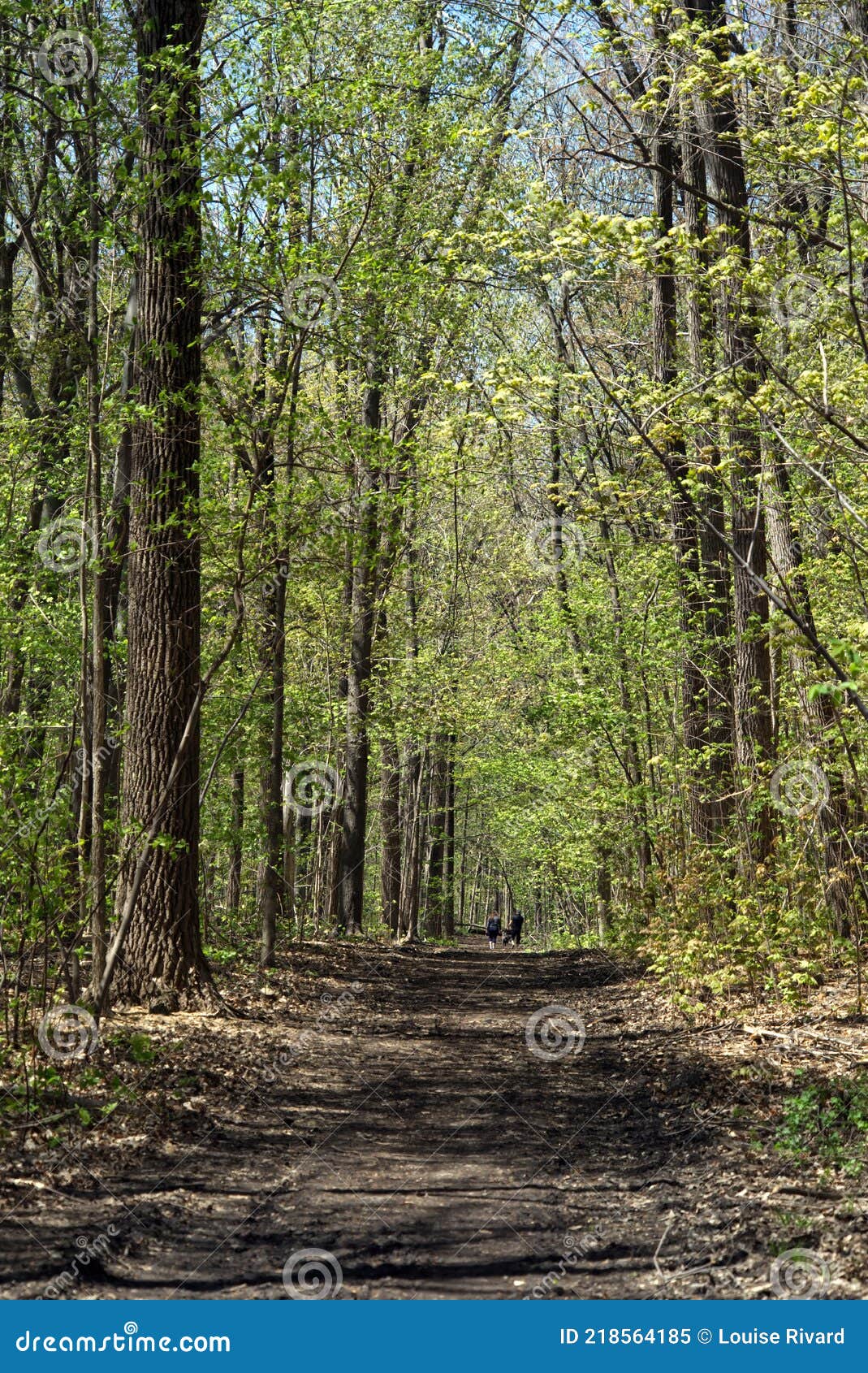 nature in town in pandemic times