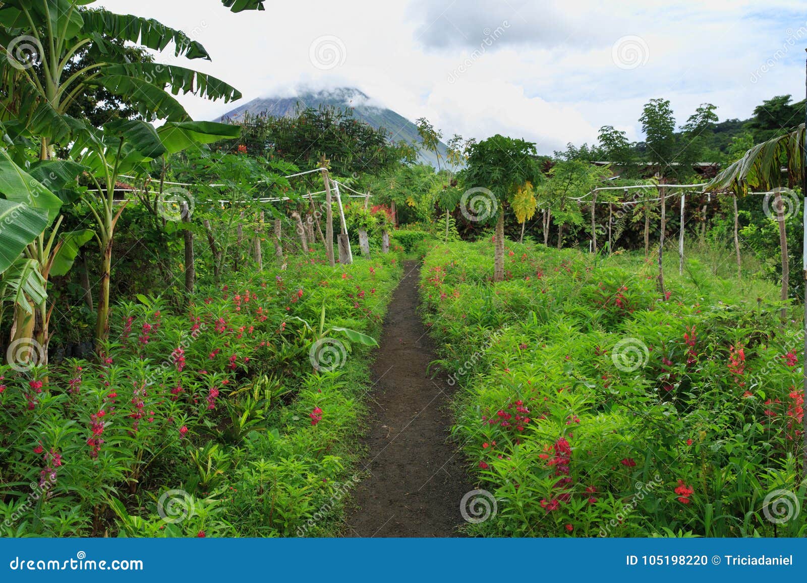 ometepe island nature trail, nicaragua