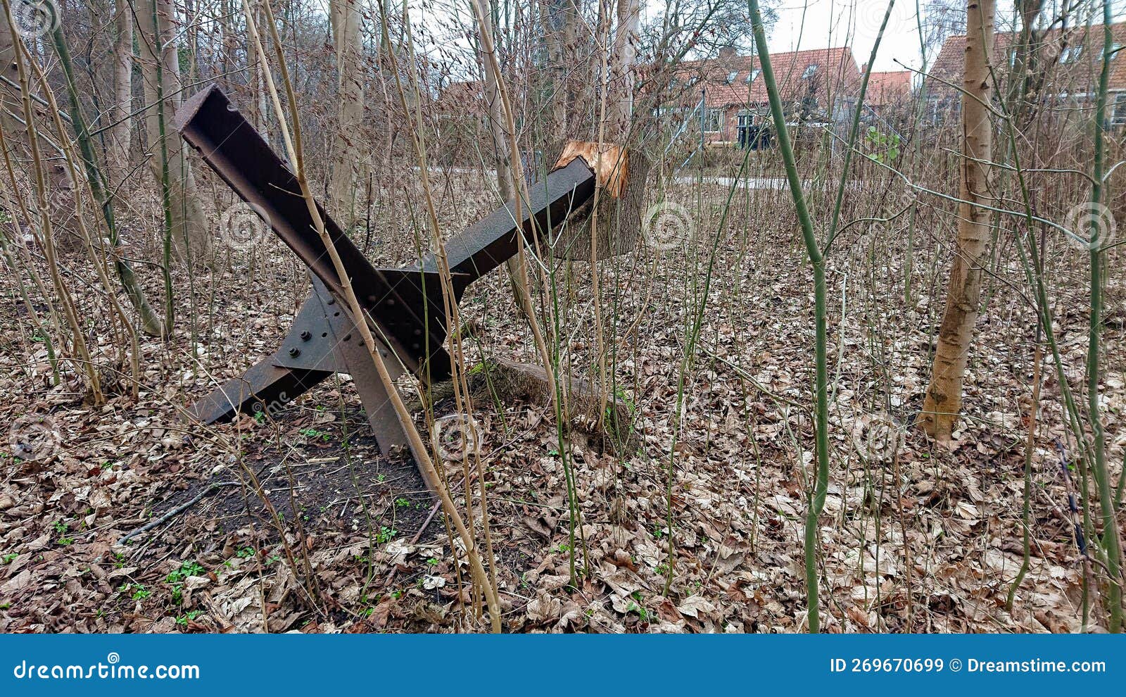 nature triumphs: an old tank trap overgrown with a tree trunk