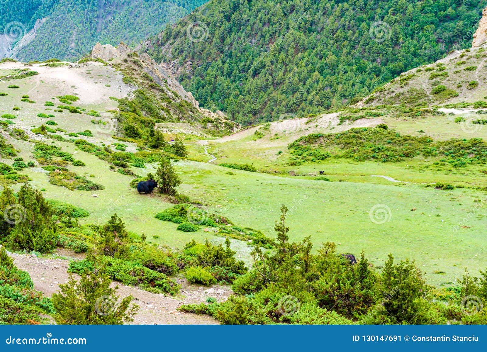 Nature View in Annapurna Conservation Area, Nepal Stock Image - Image ...