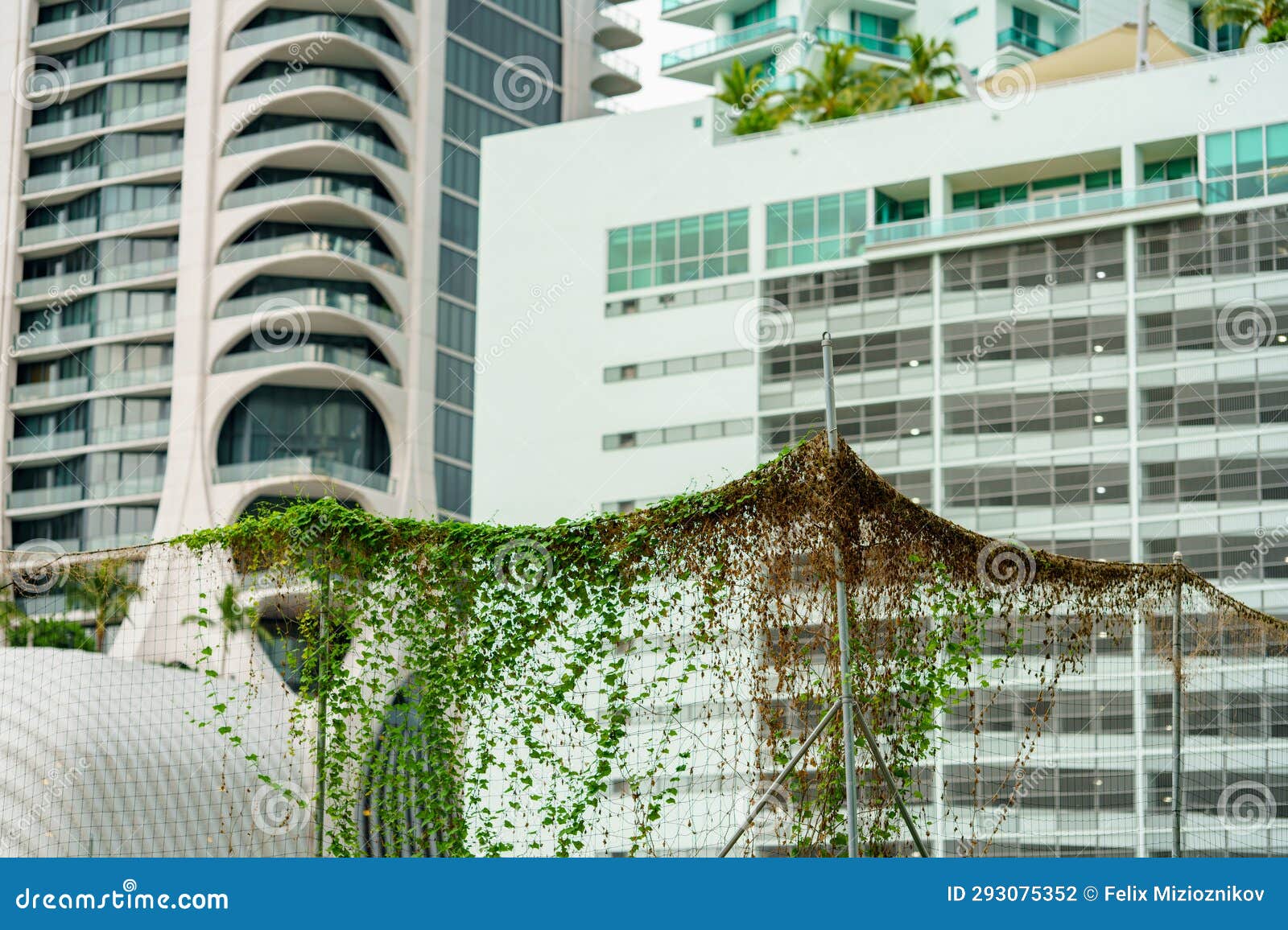 nature vines reclaiming the city of concrete urban jungle