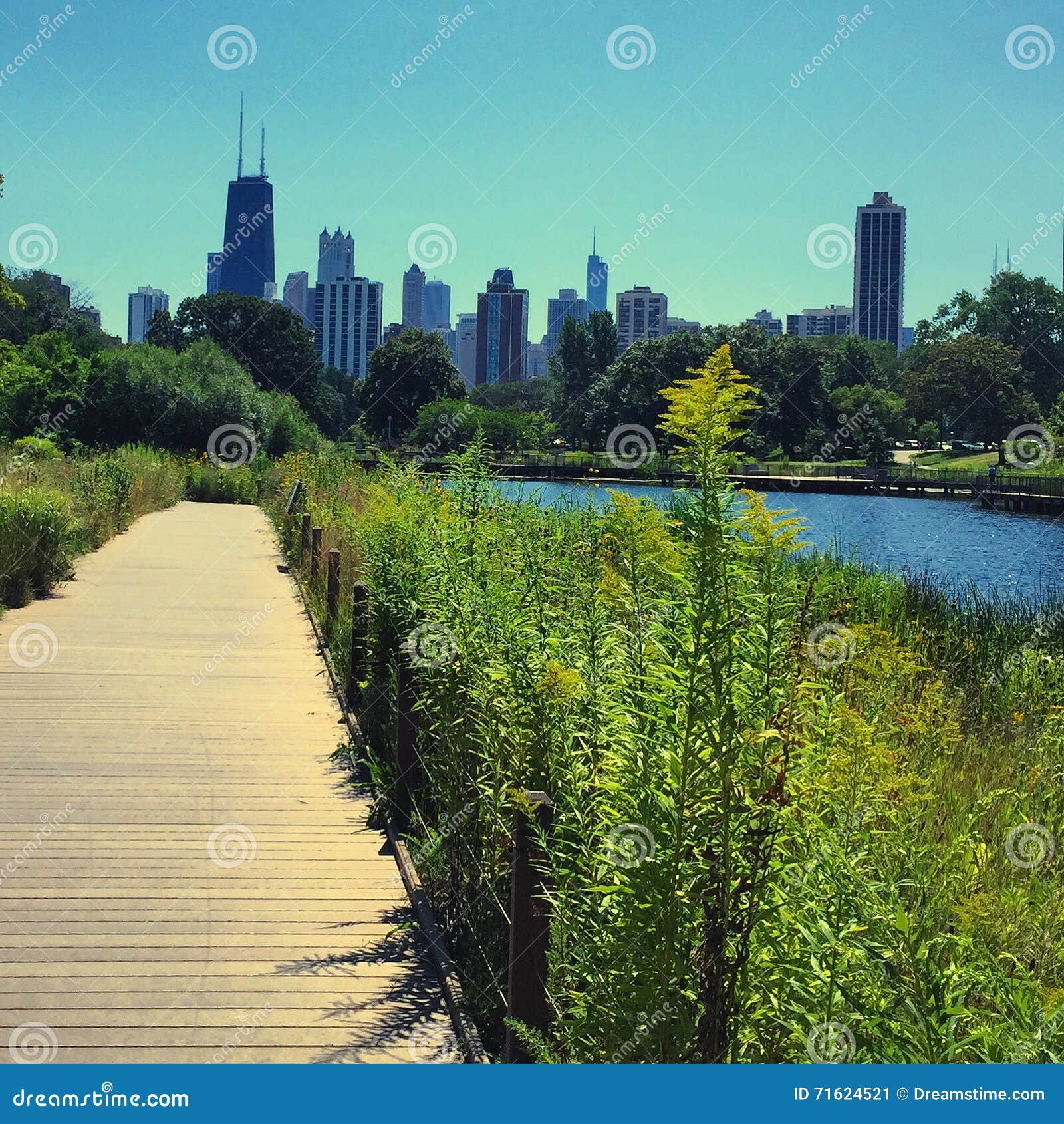 Nature Walk in Chicago S Lincoln Park Stock Image Image of skyline