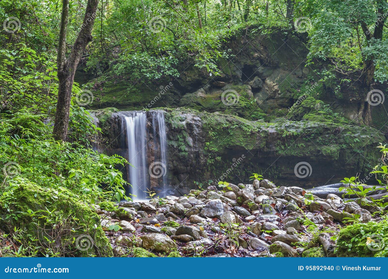 nature water falls: beauty of jim corbett forest