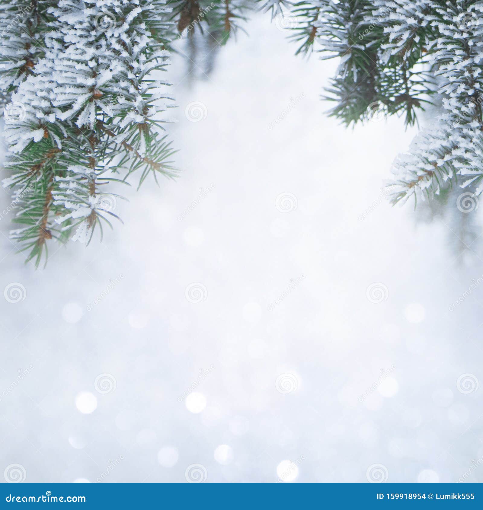 Nature Winter Background Snowy Pine Tree Stock Photo Image of abstract, outside: 159918954