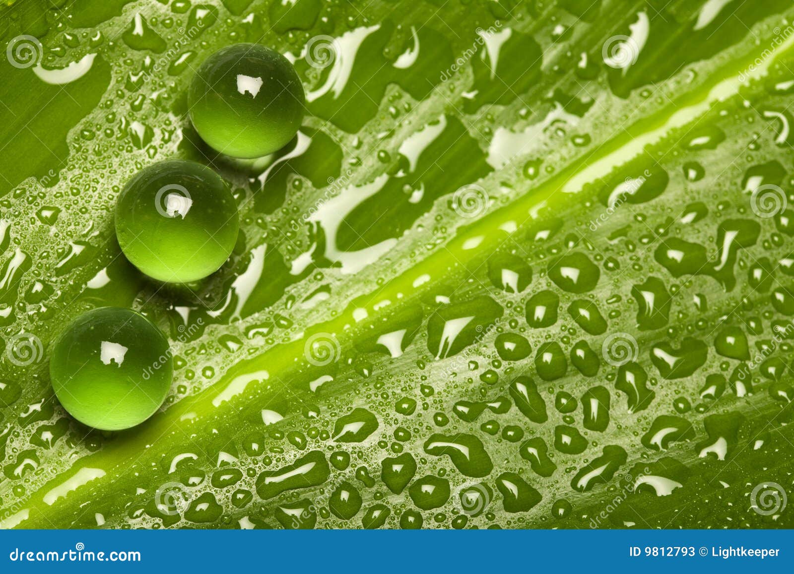 210,668 Pure Green Stock Photos - Free & Royalty-Free Stock Photos from  Dreamstime