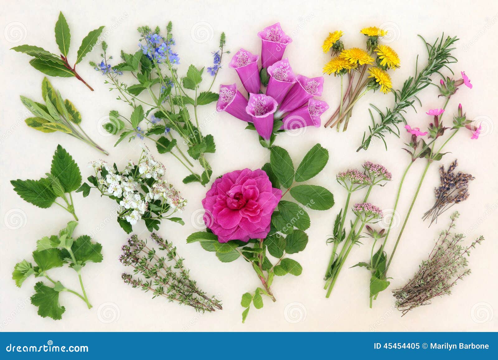 naturopathic herbs and flowers