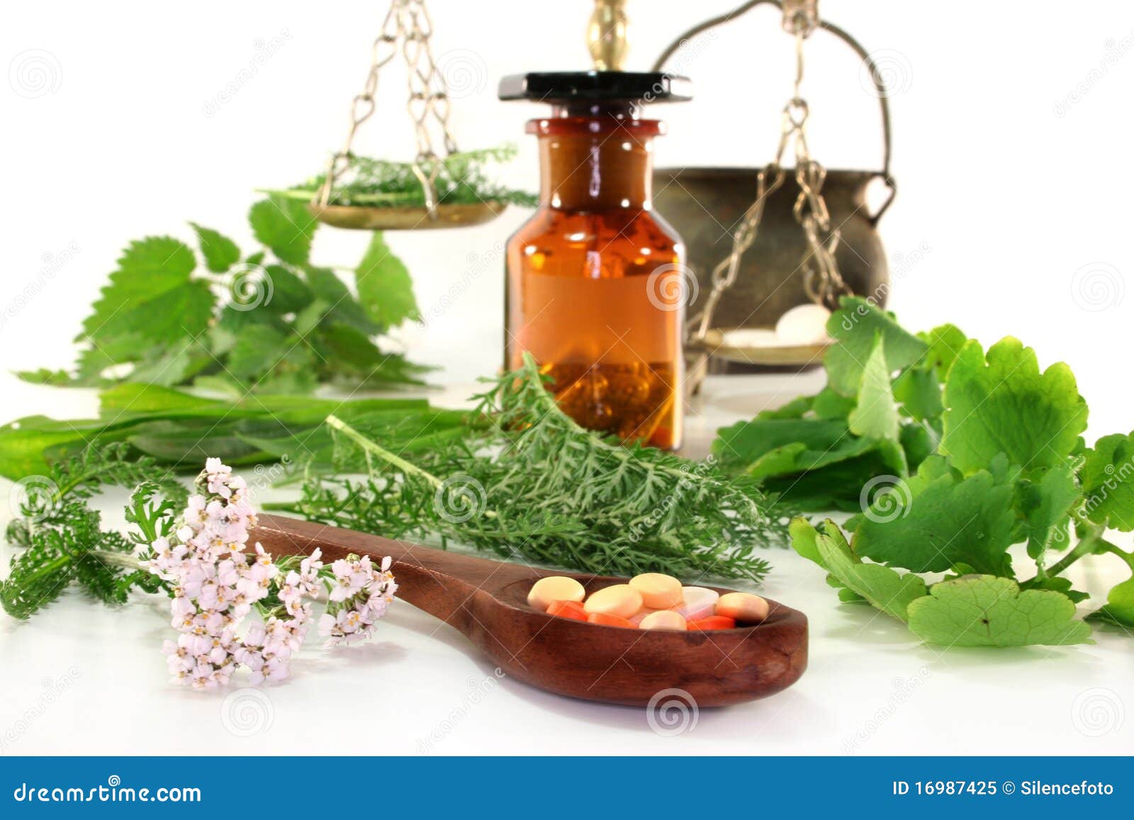 Naturopathy stock image. Image of herbs, manufacturing 16987425