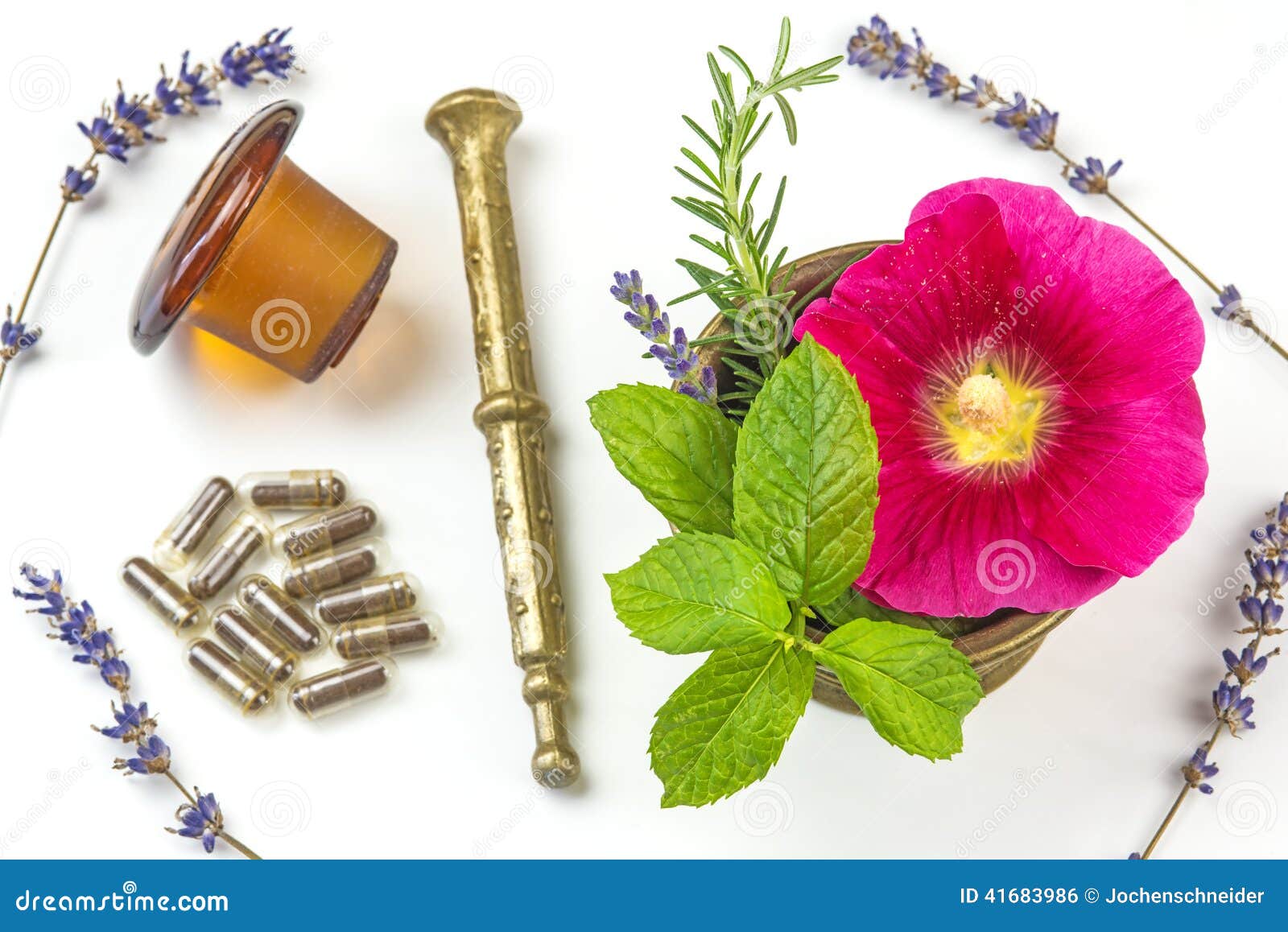 Naturopathy with herbs stock photo. Image of antioxidants 41683986