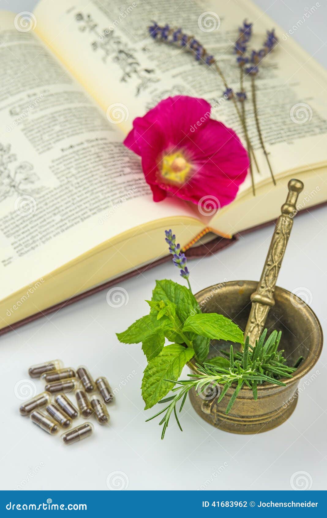 naturopathy with herbs