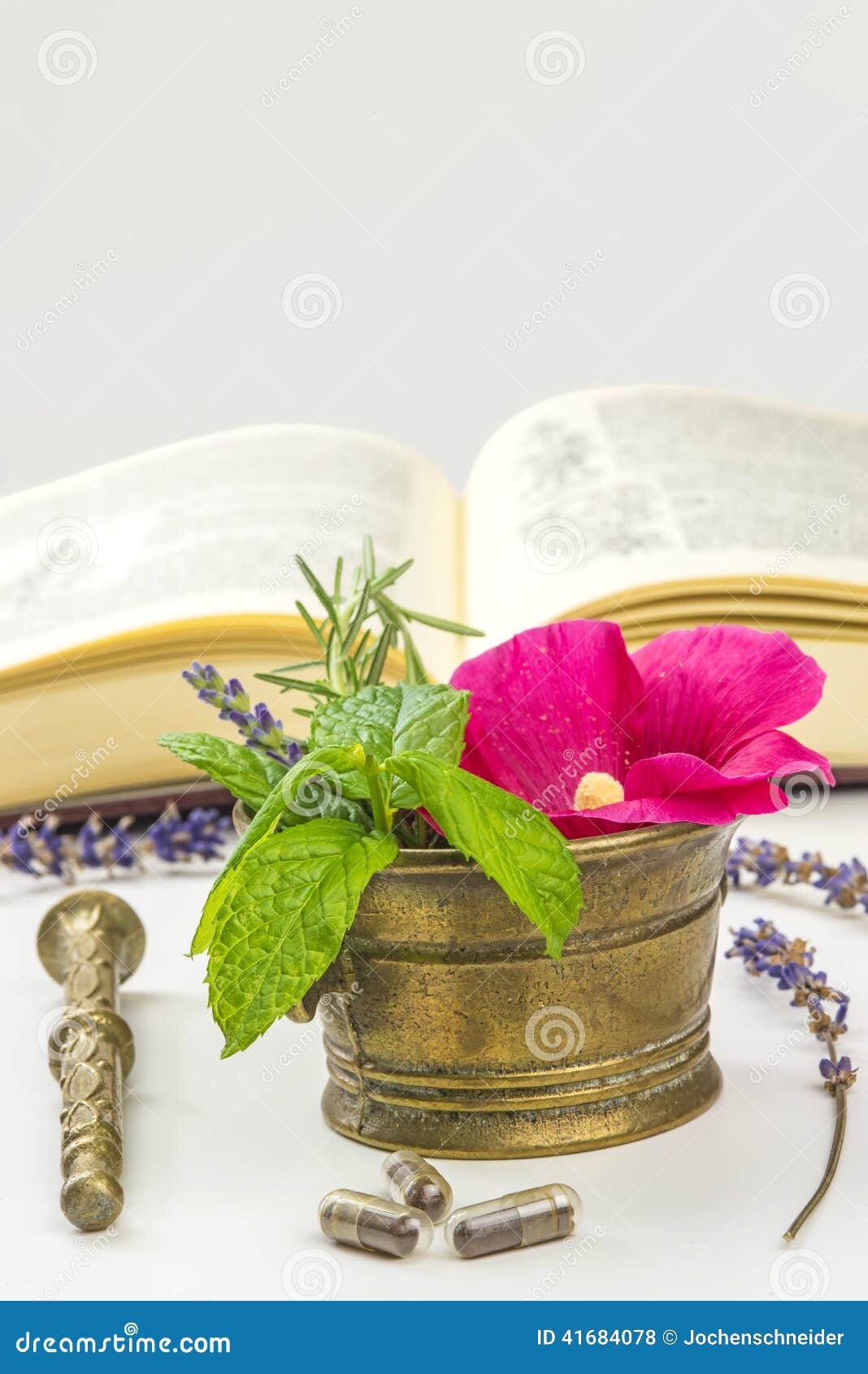 Naturopathy with herbs stock photo. Image of book, drug 41684078